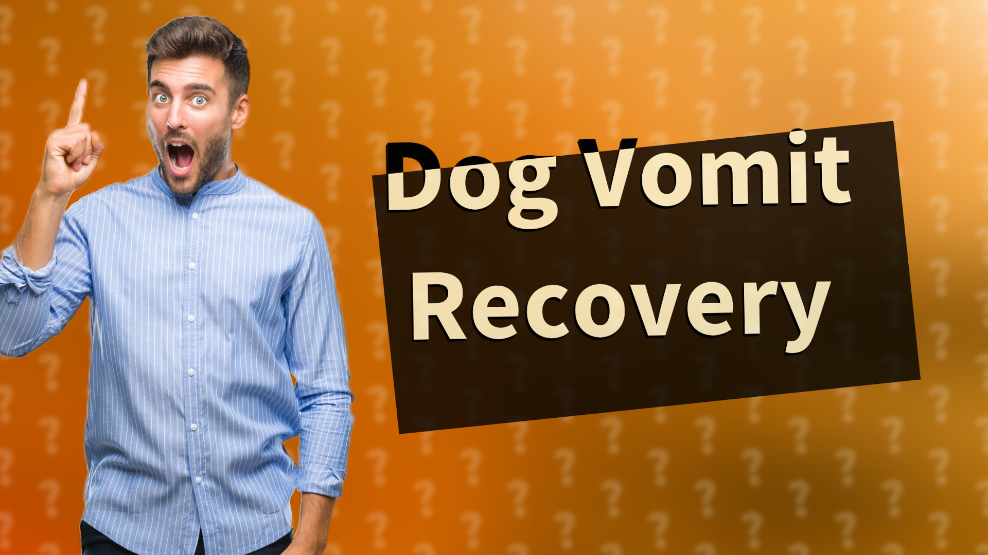 Dog Vomit Recovery