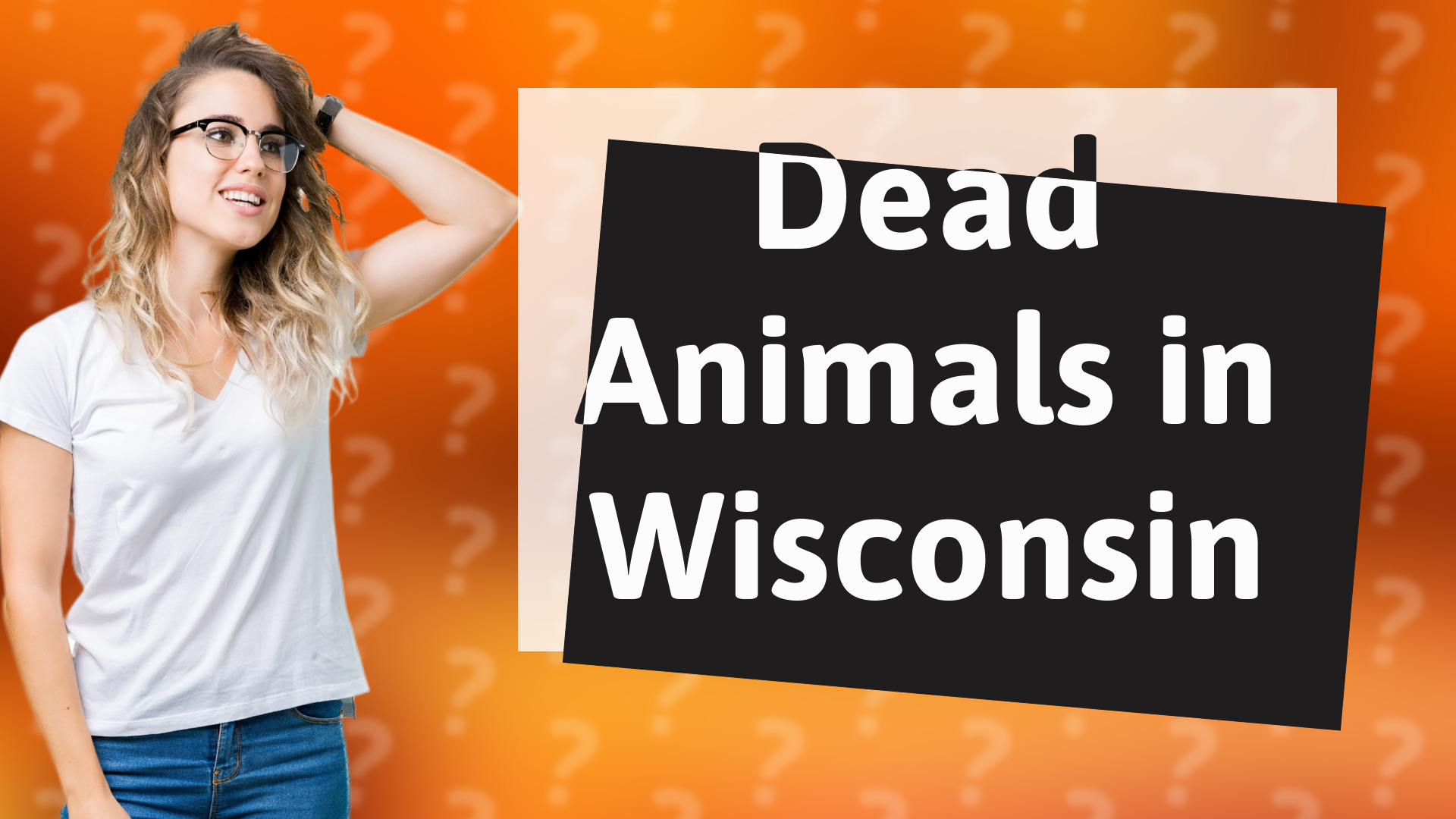 Dead Animals in Wisconsin