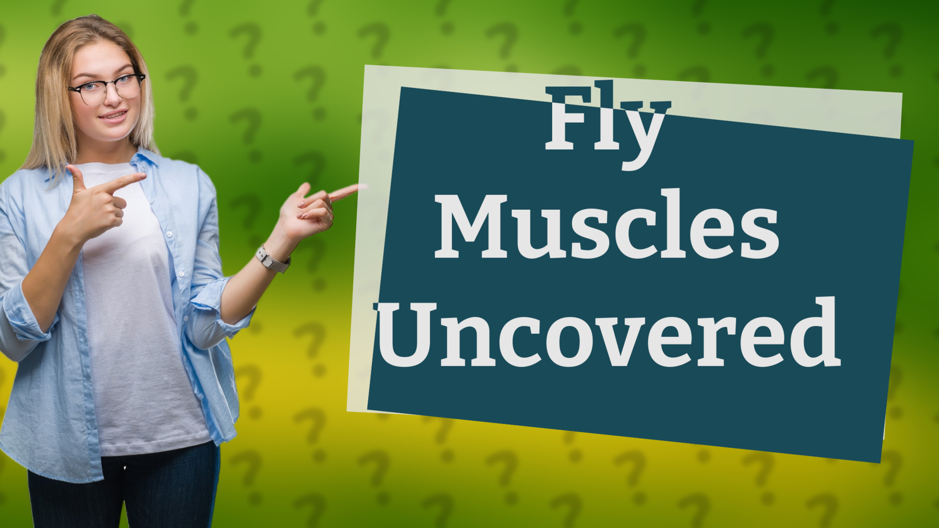 Fly Muscles Uncovered