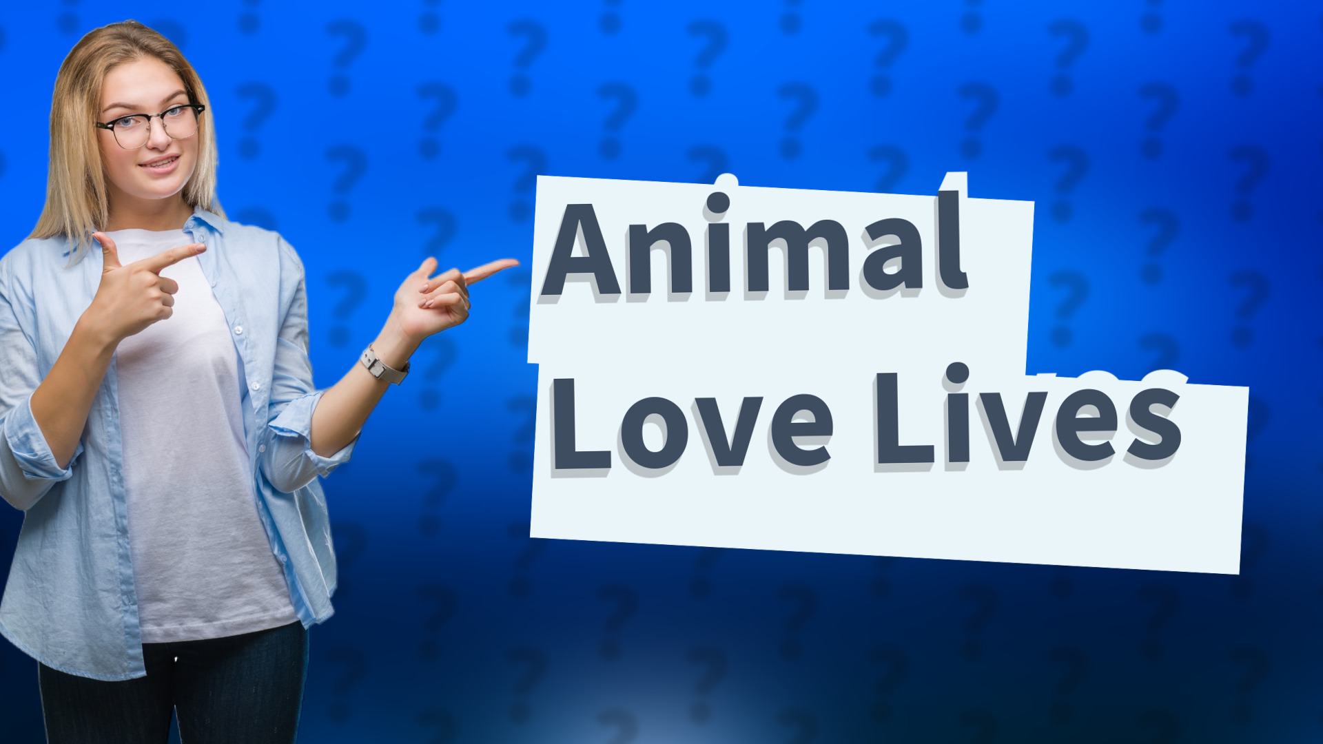 Animal Love Lives