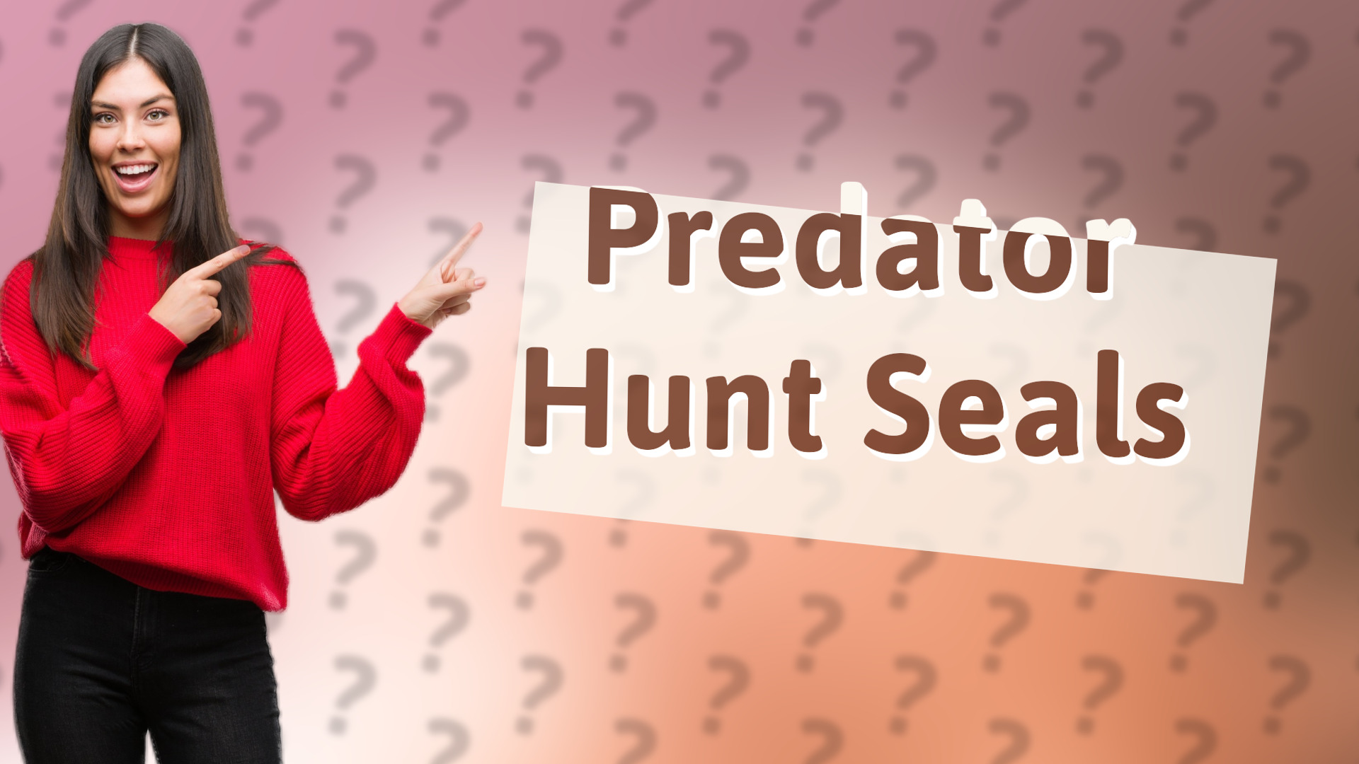 Predator Hunt Seals