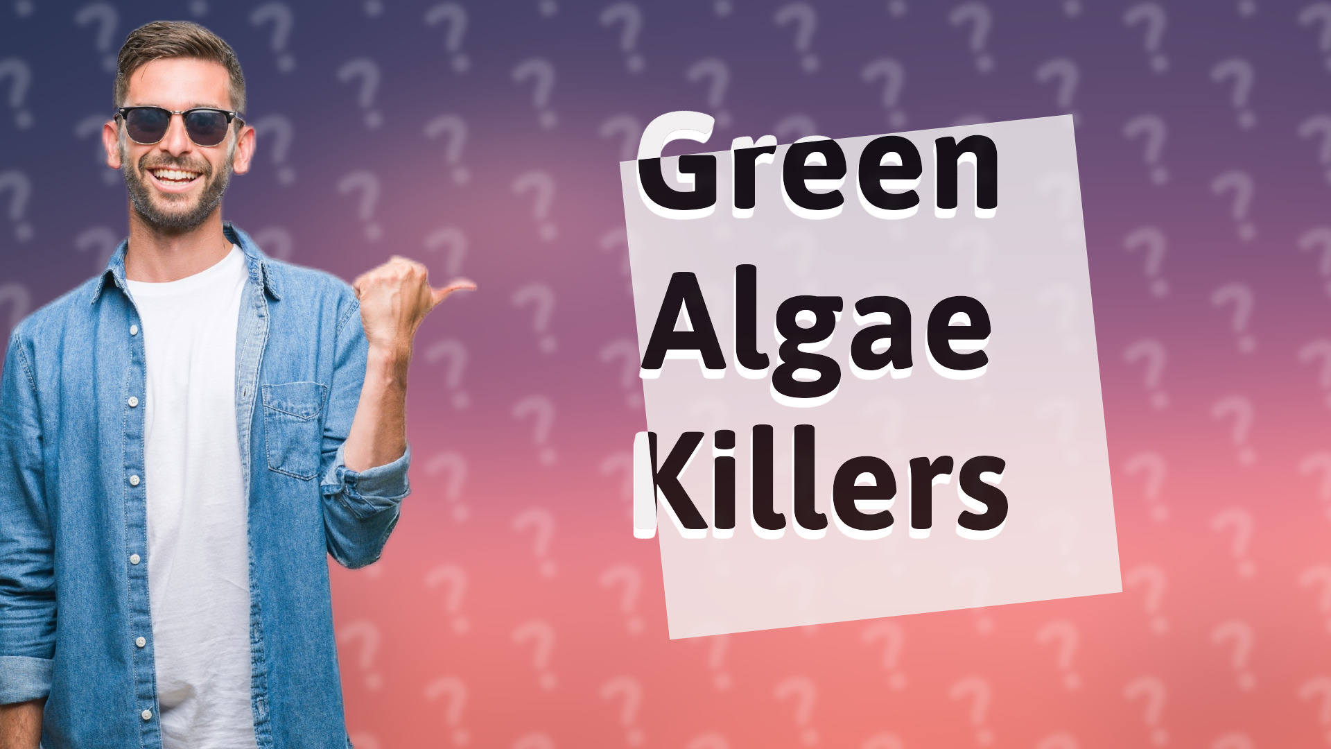 Green Algae Killers