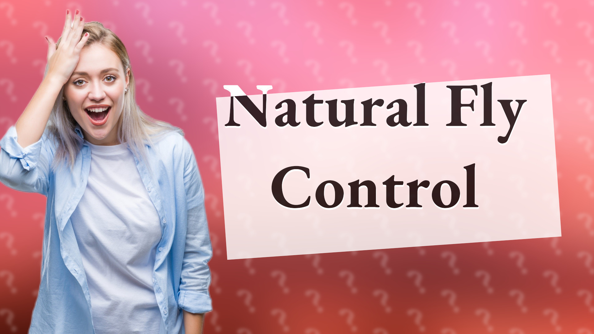 Natural Fly Control