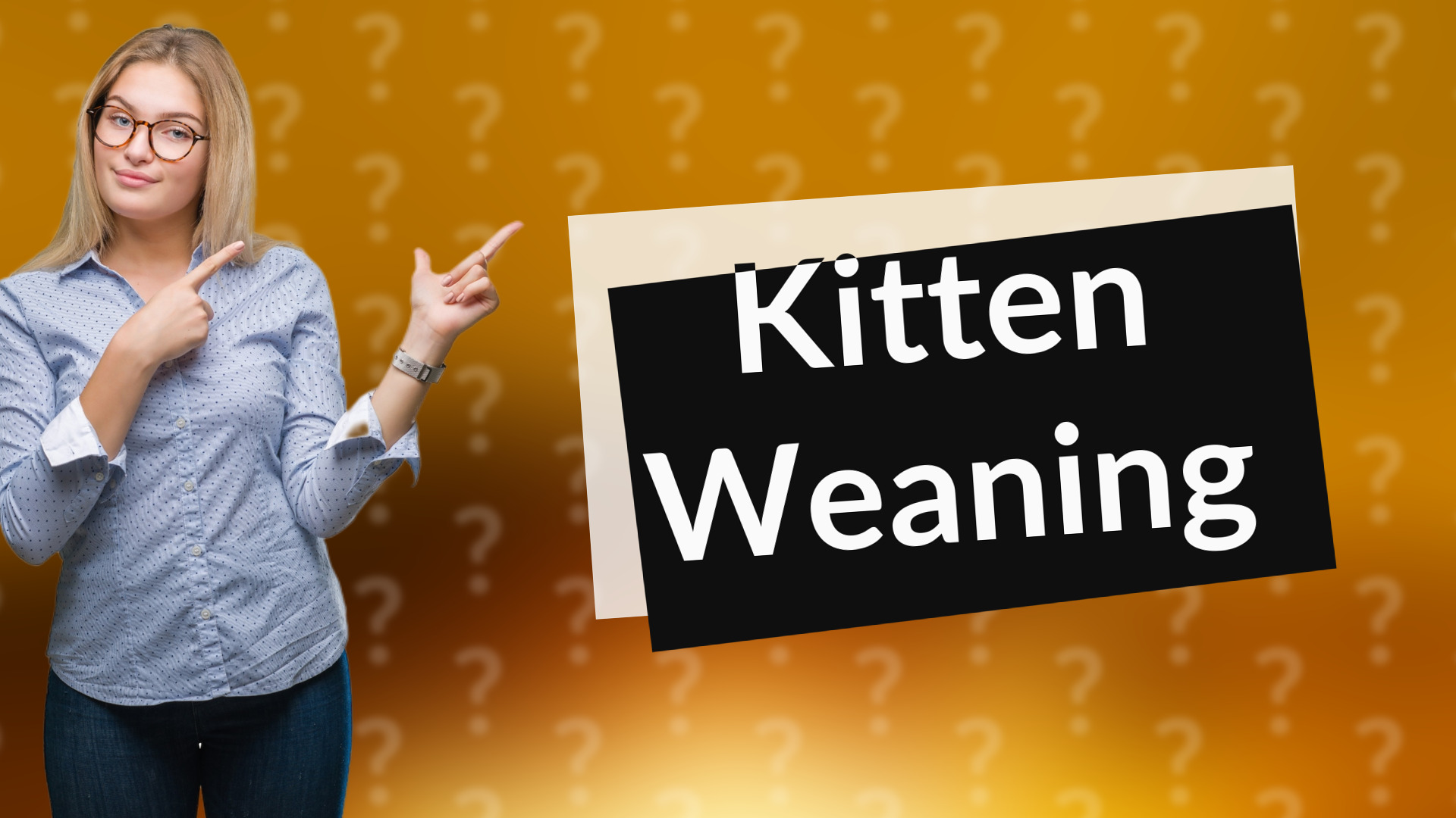 Kitten Weaning