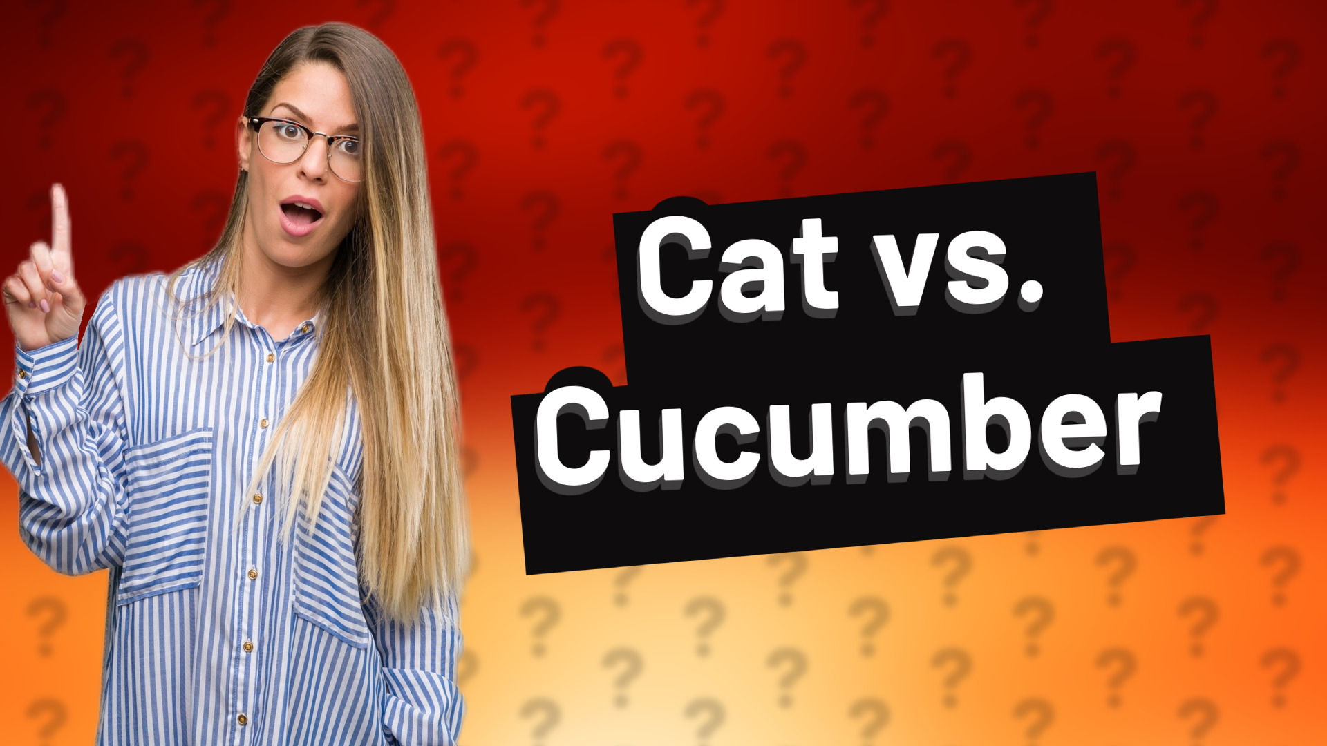 Cat vs. Cucumber