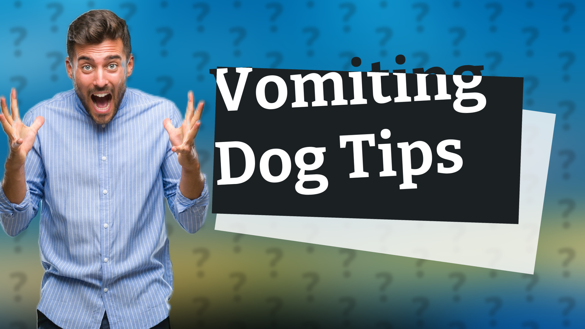 Vomiting Dog Tips