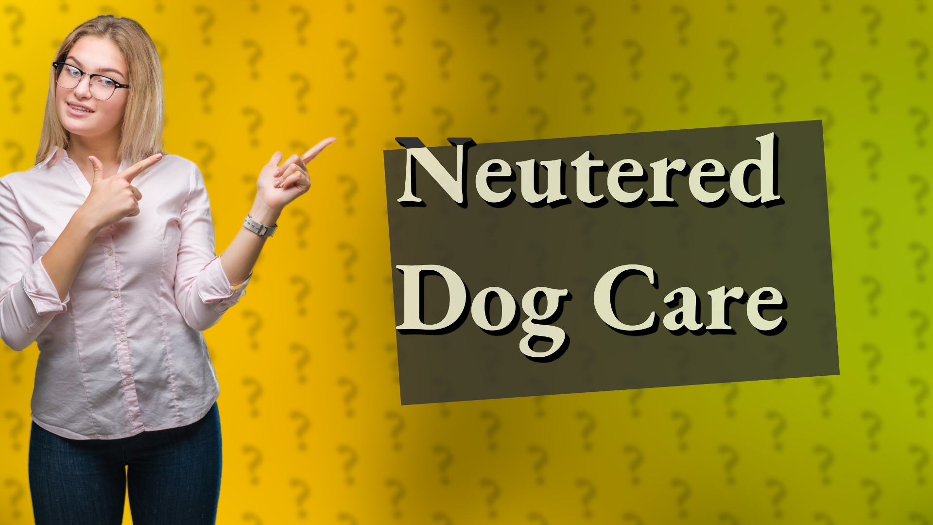 Neutered Dog Care