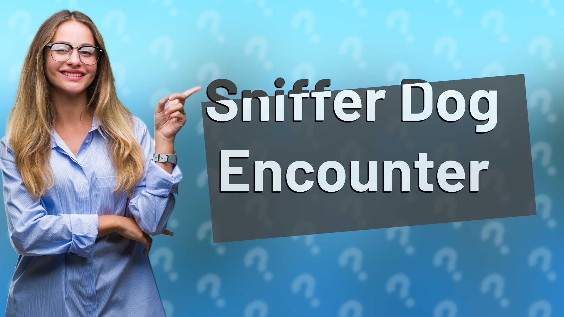 Sniffer Dog Encounter