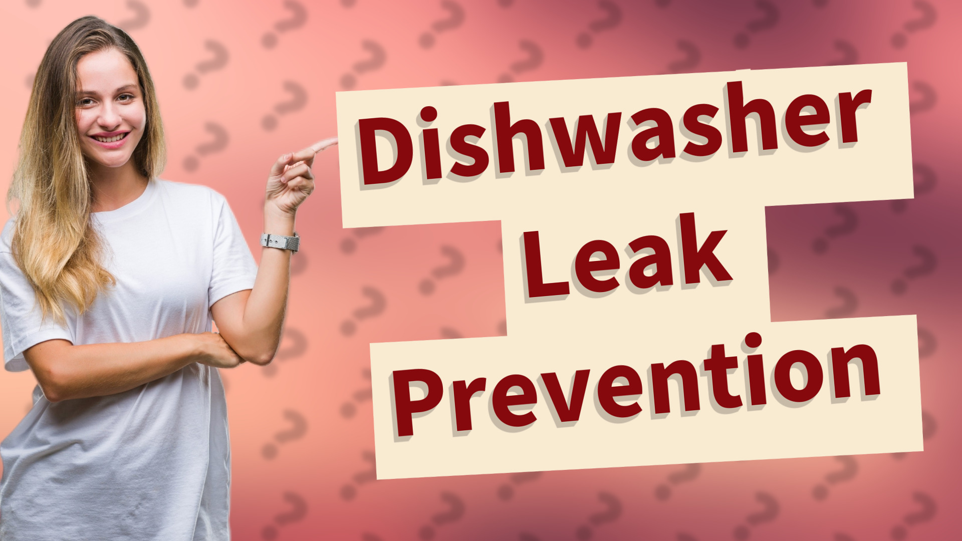 Dishwasher Leak Prevention