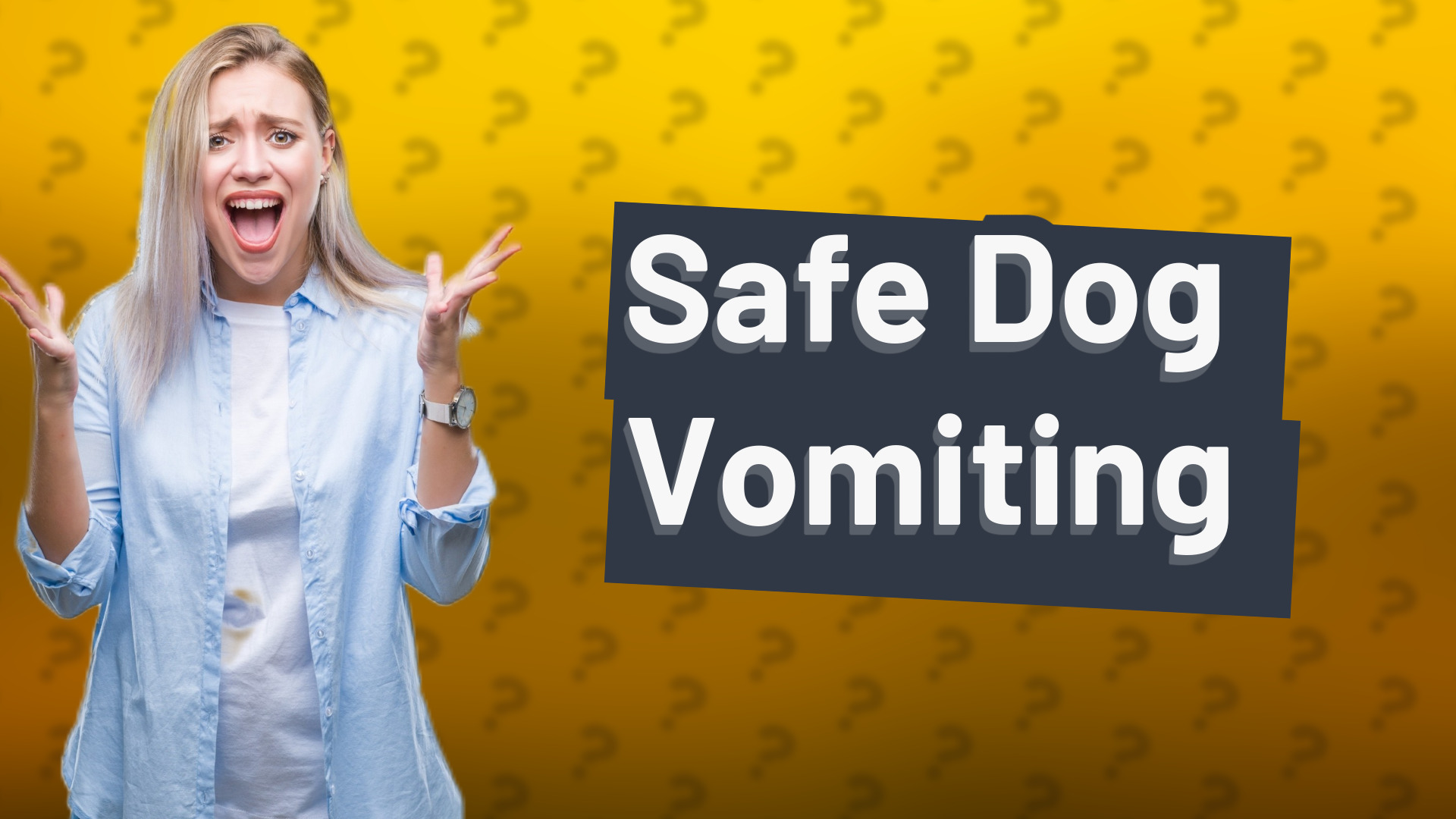 Safe Dog Vomiting