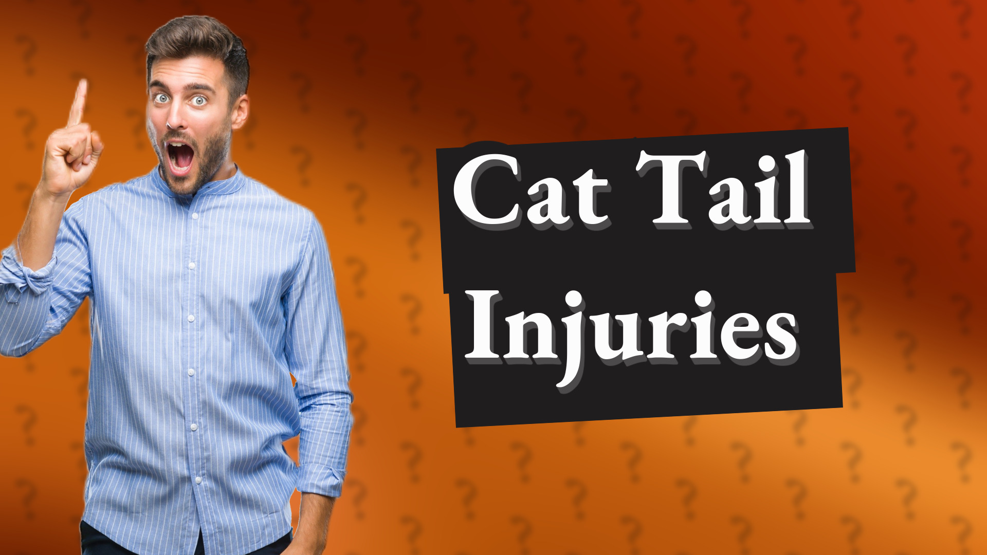 Cat Tail Injuries