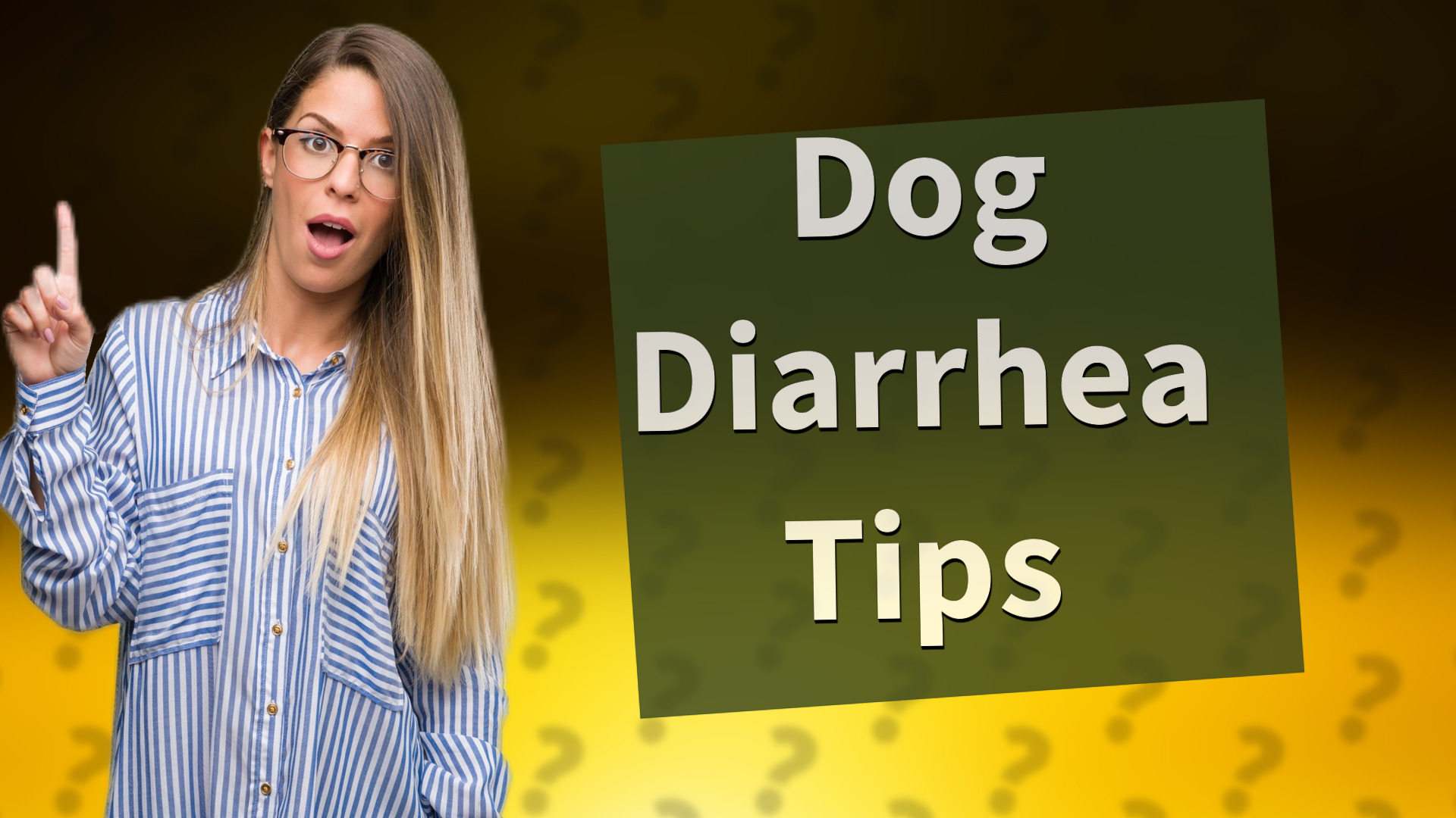 Dog Diarrhea Tips