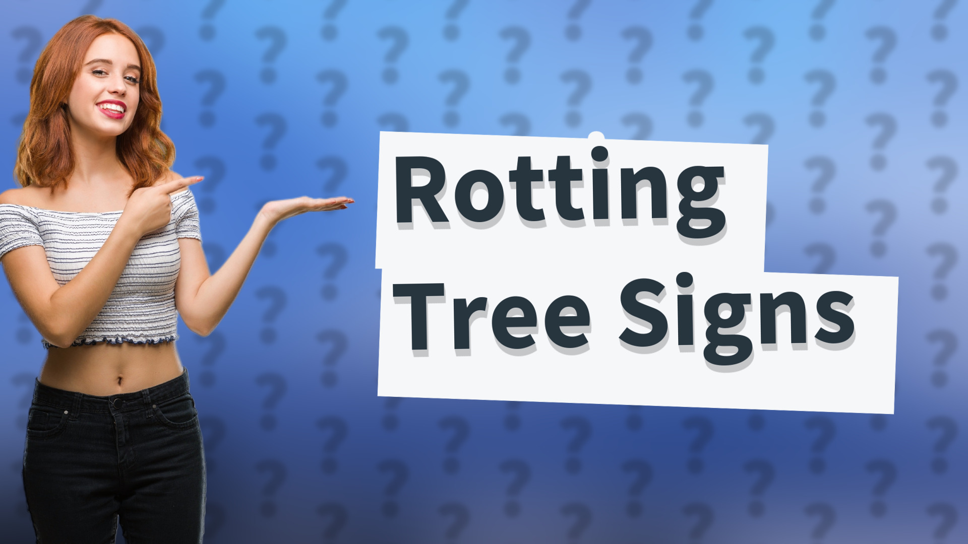 Rotting Tree Signs