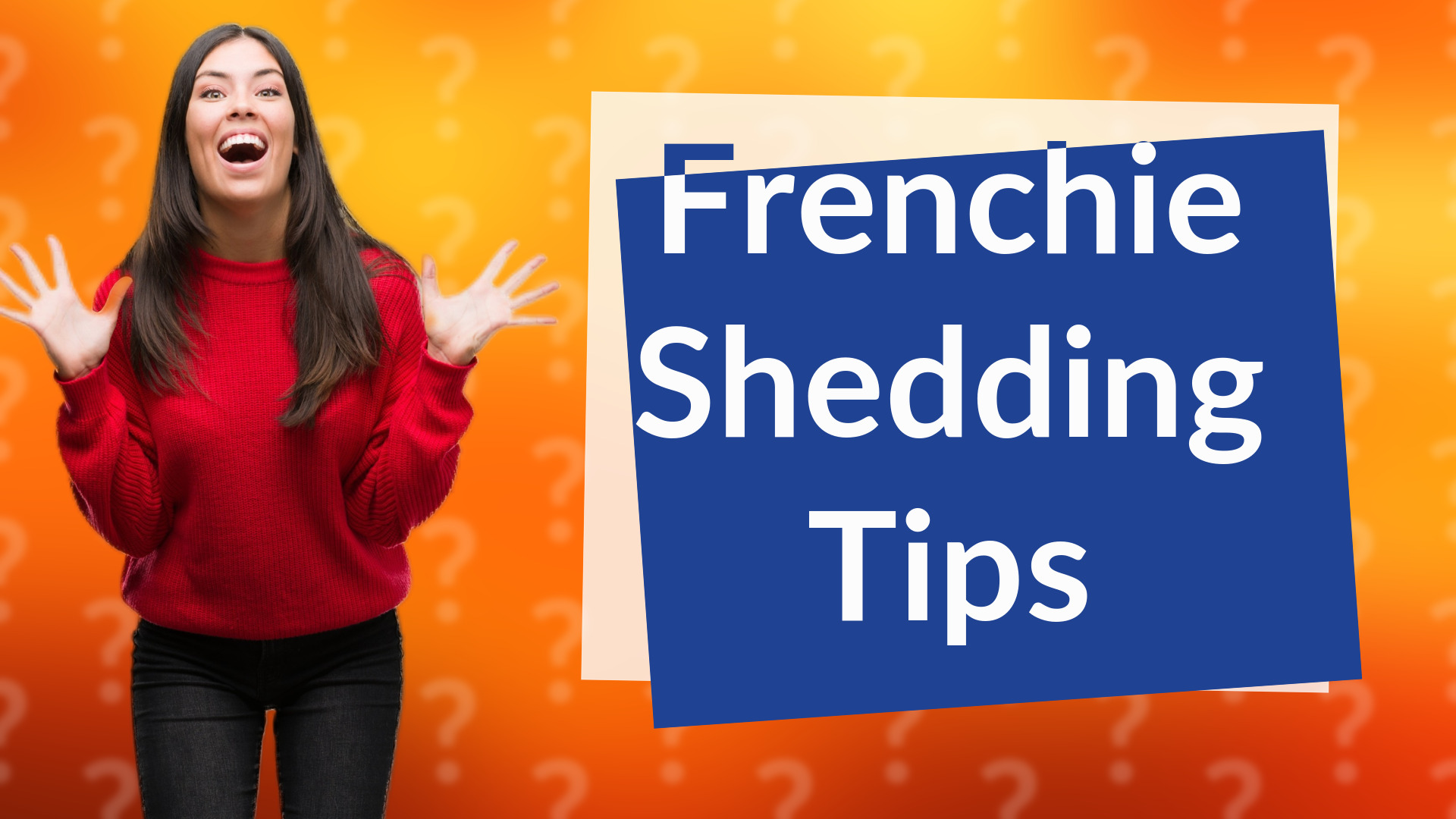 Frenchie Shedding Tips