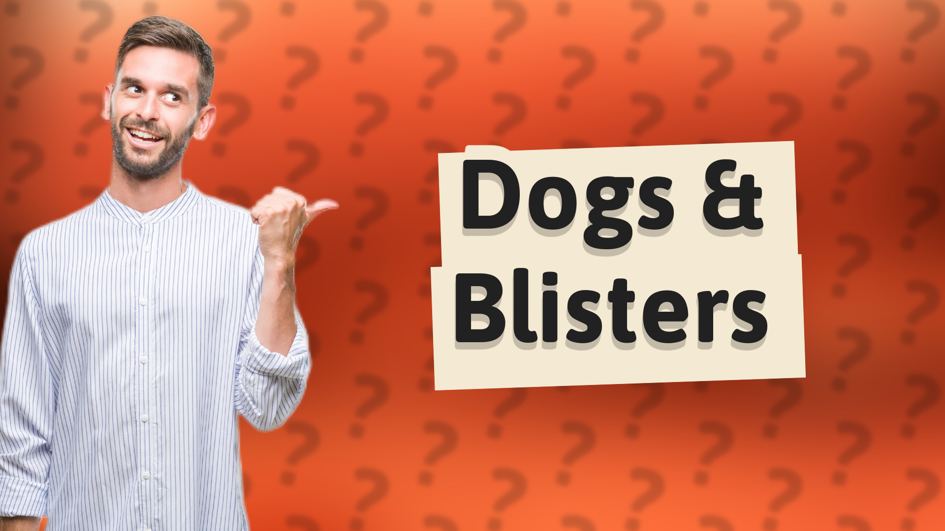 Dogs & Blisters