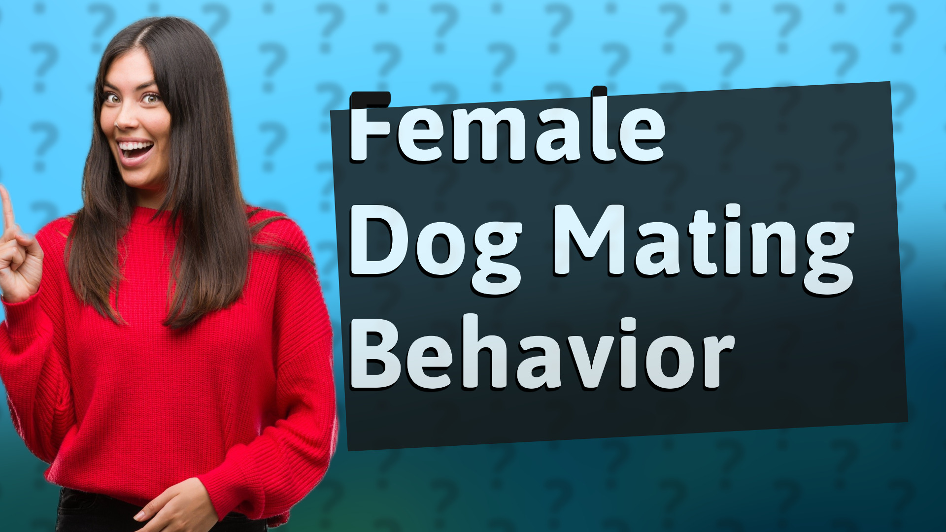 Female Dog Mating Behavior