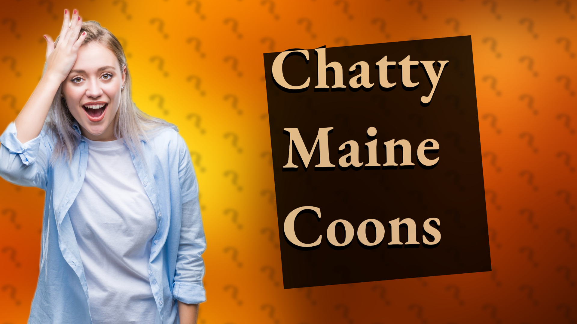 Chatty Maine Coons