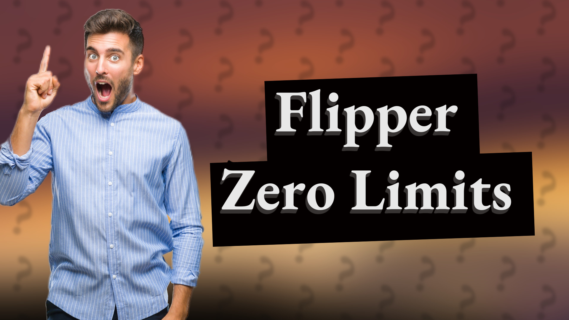 Flipper Zero Limits