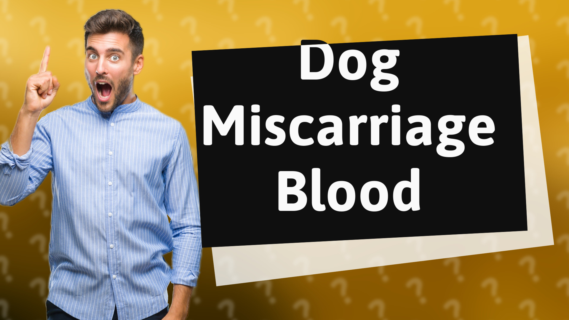 Dog Miscarriage Blood