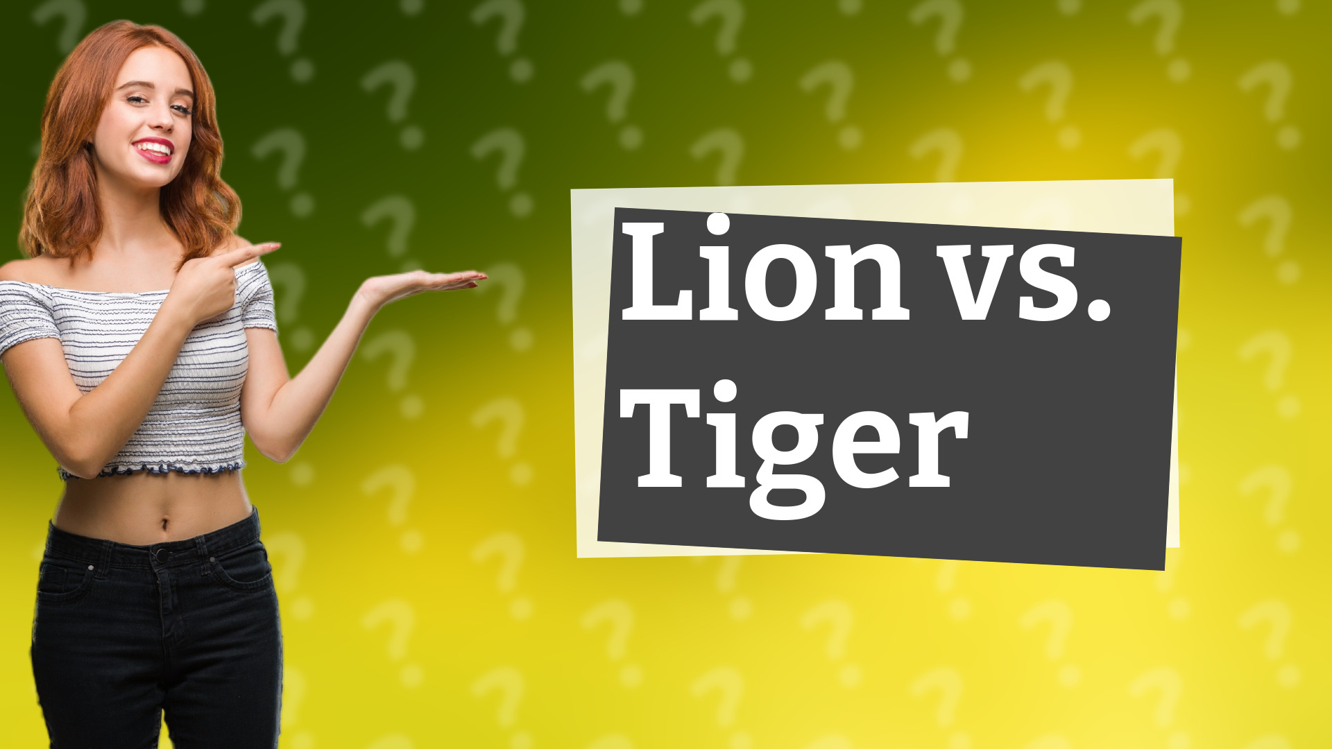 Lion vs. Tiger