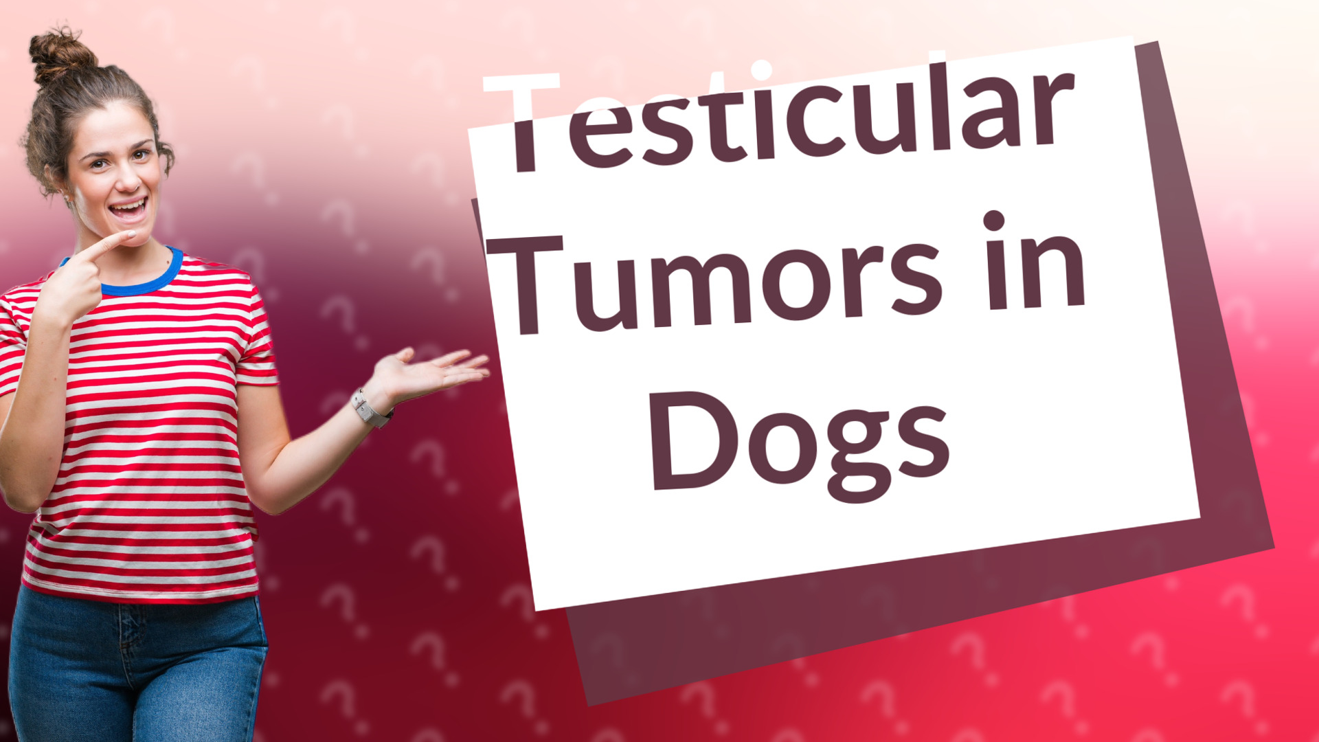 Testicular Tumors in Dogs
