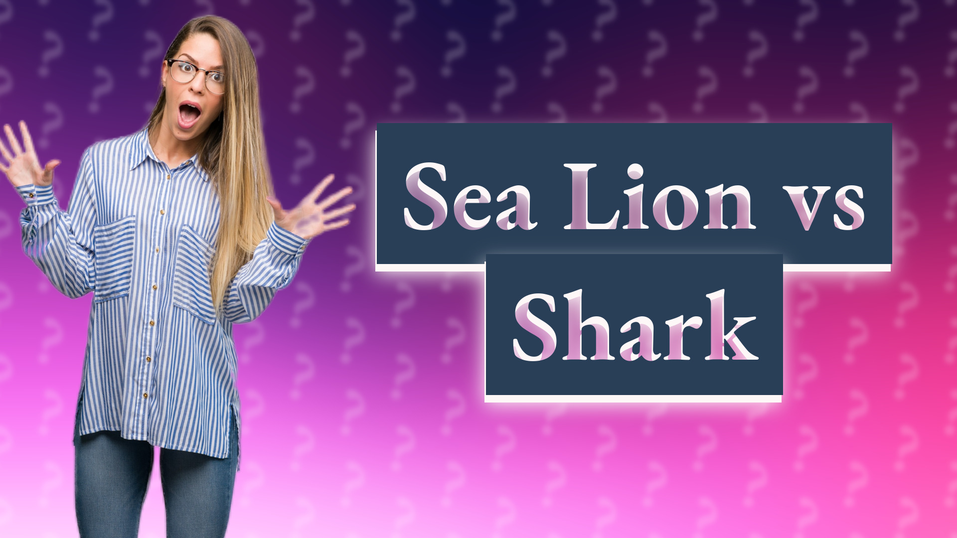Sea Lion vs Shark