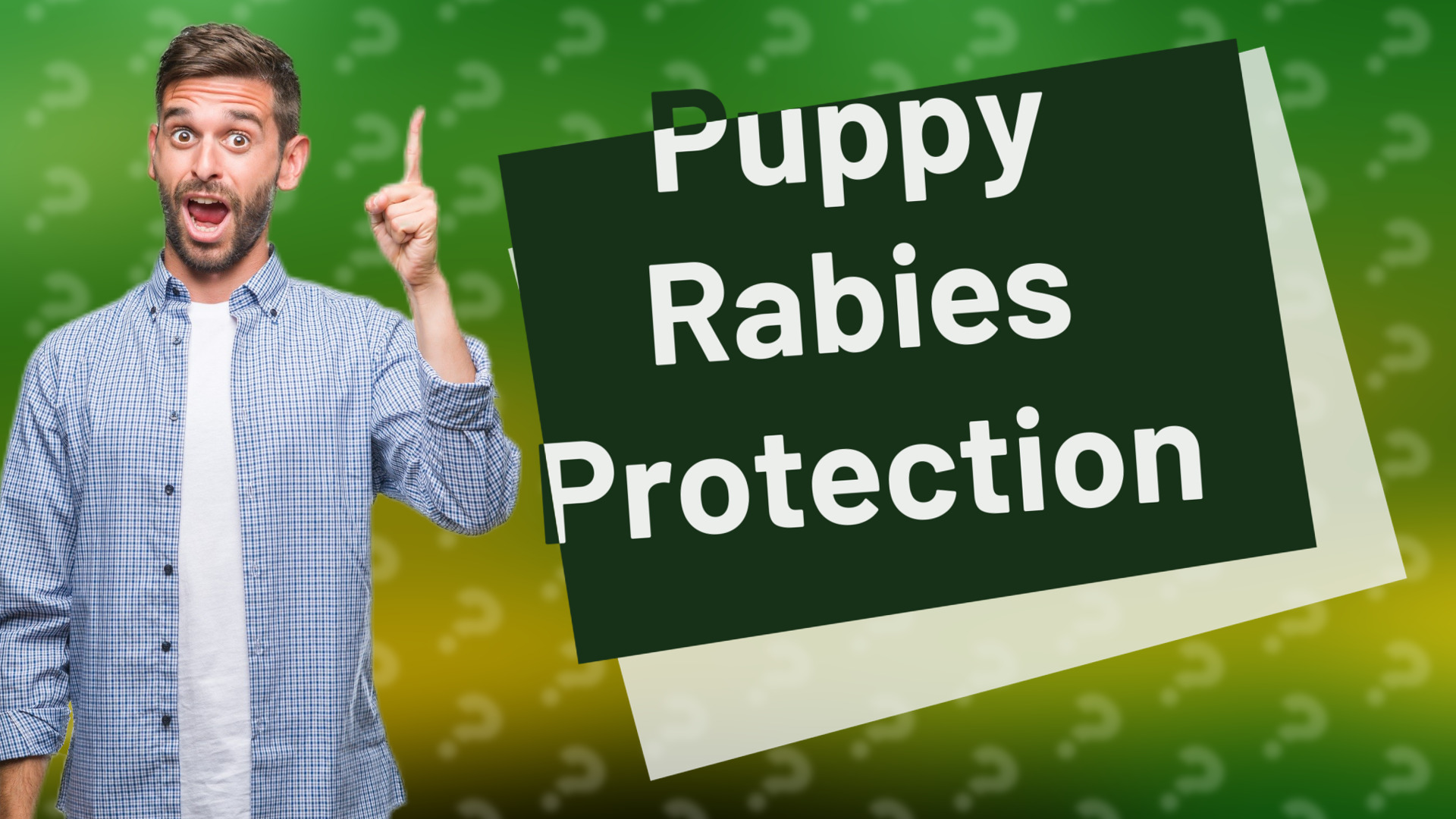 Puppy Rabies Protection
