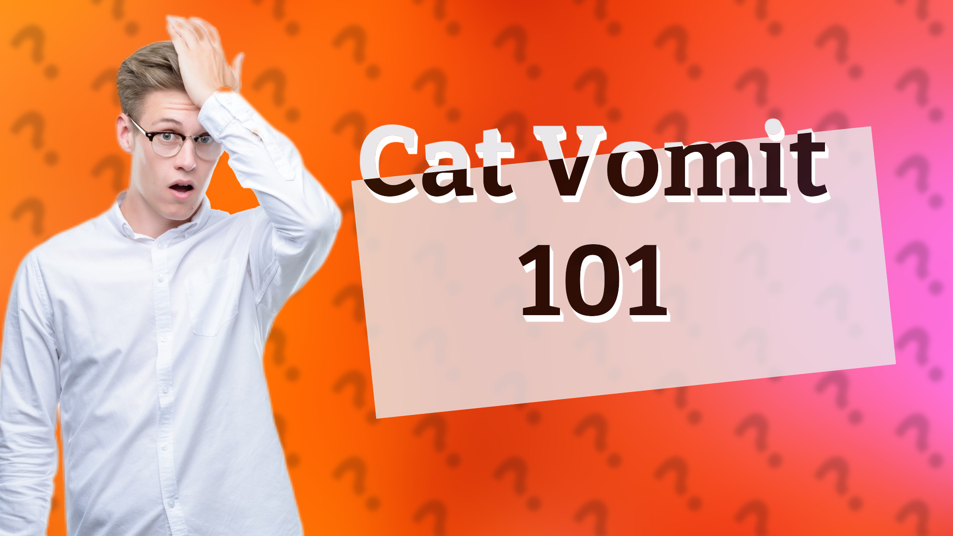 Cat Vomit 101
