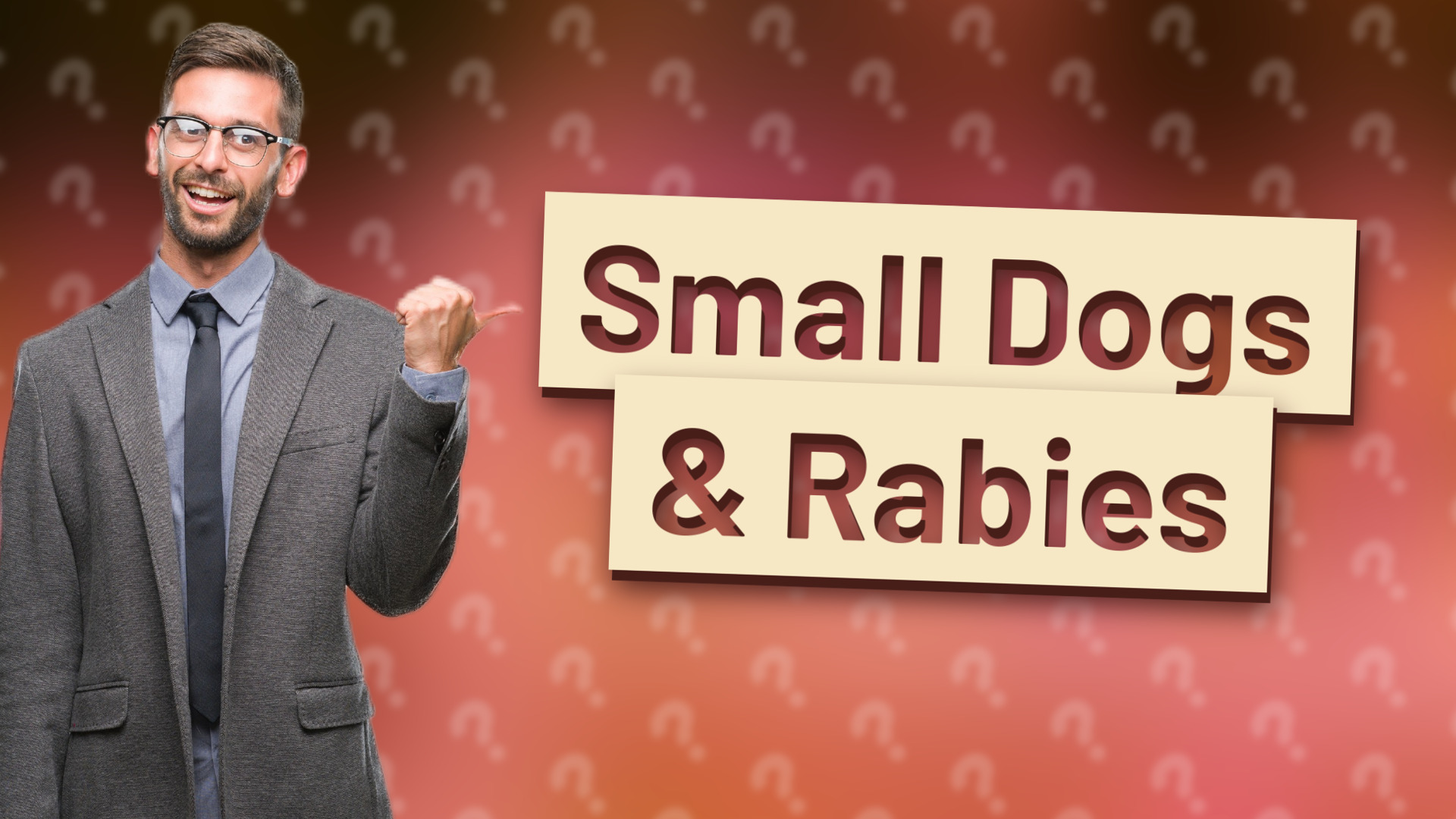 Small Dogs & Rabies