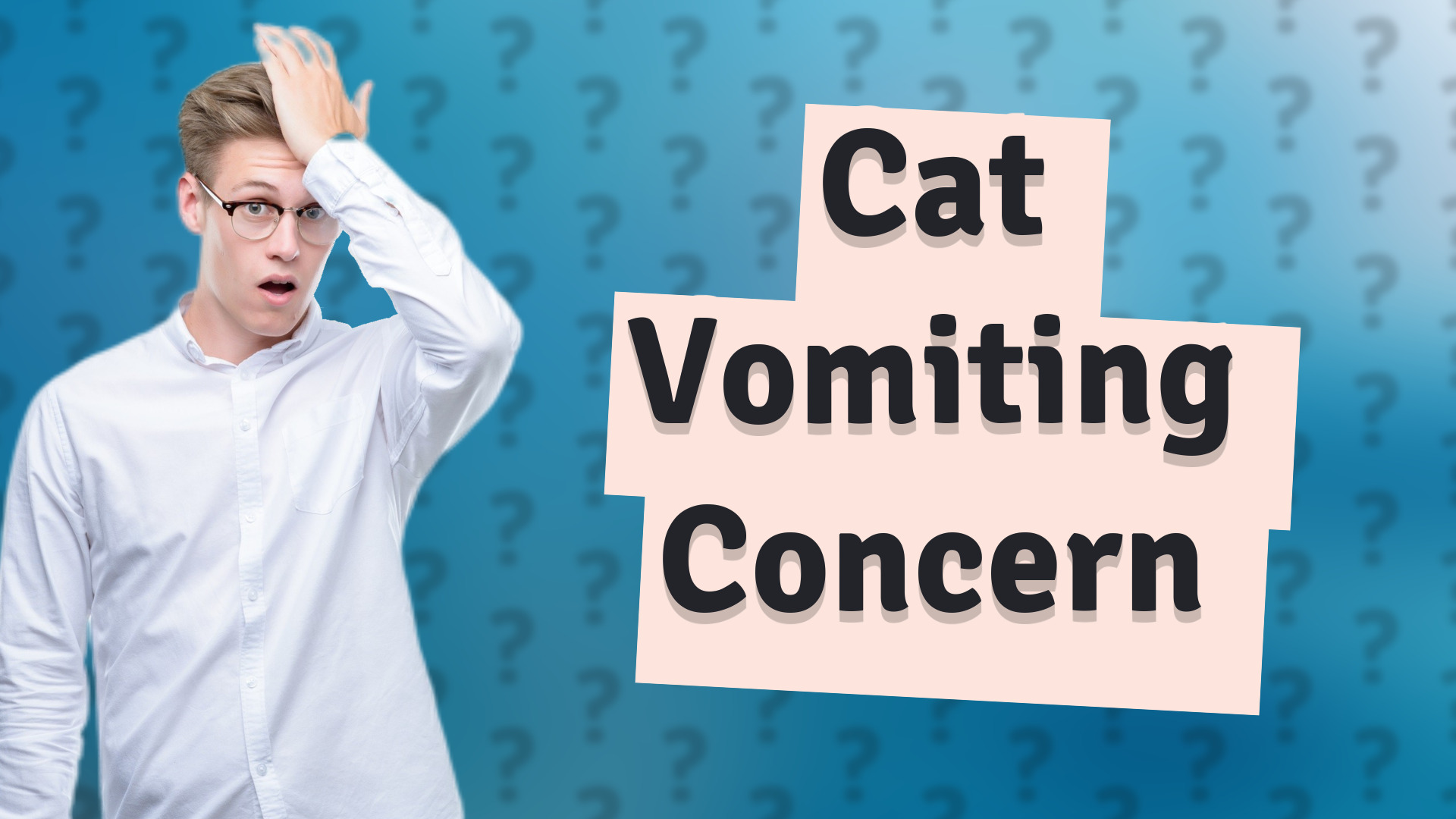 Cat Vomiting Concern