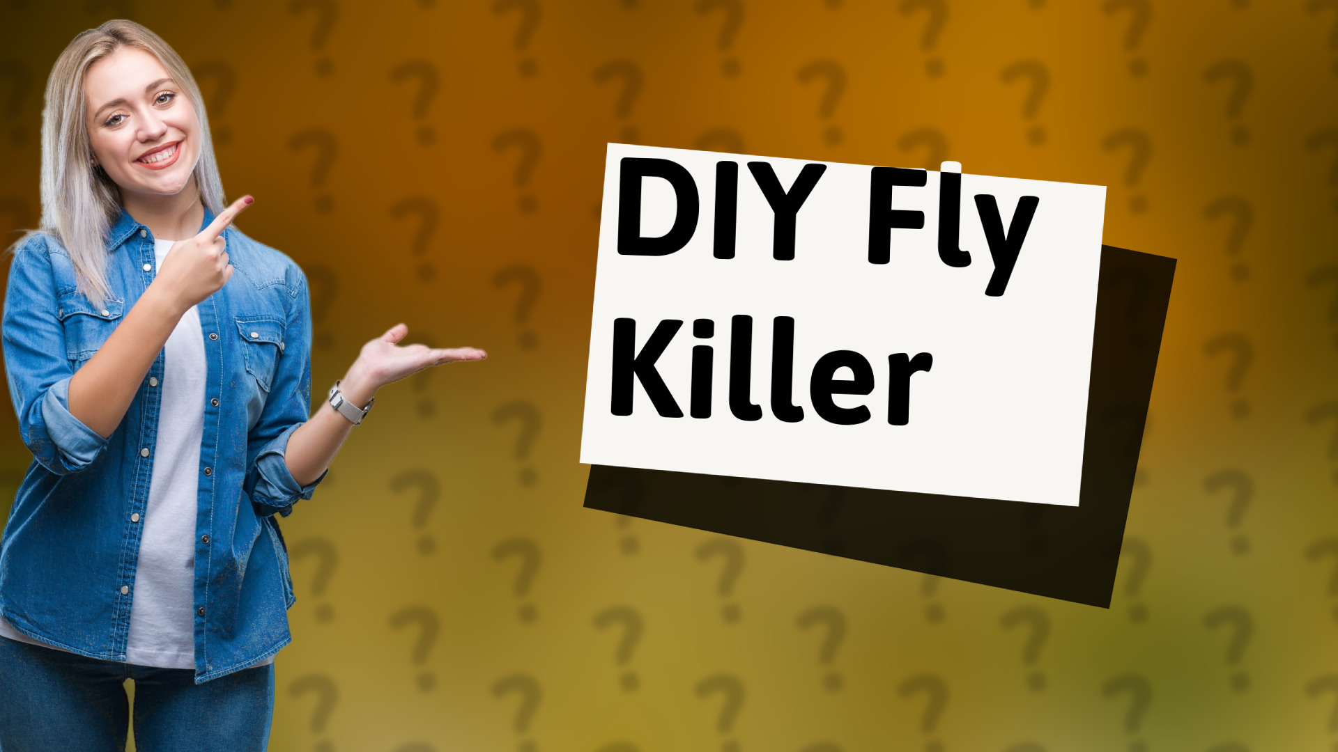 DIY Fly Killer