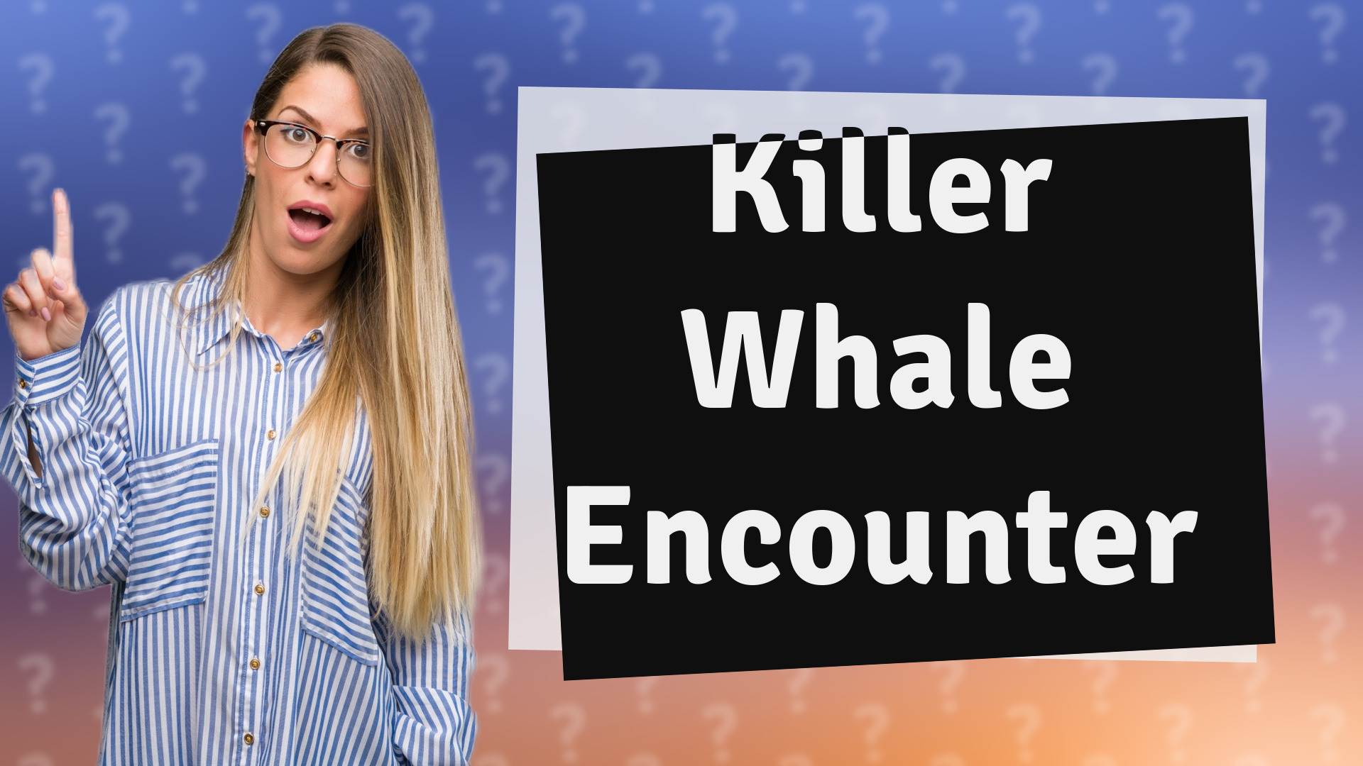 Killer Whale Encounter