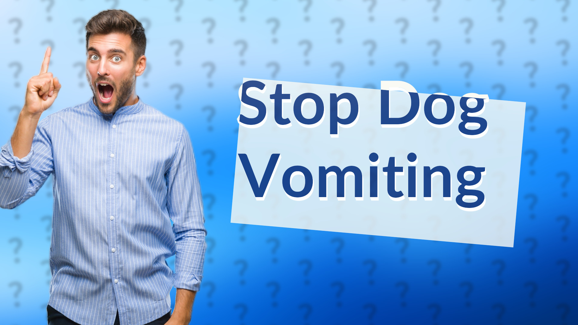Stop Dog Vomiting