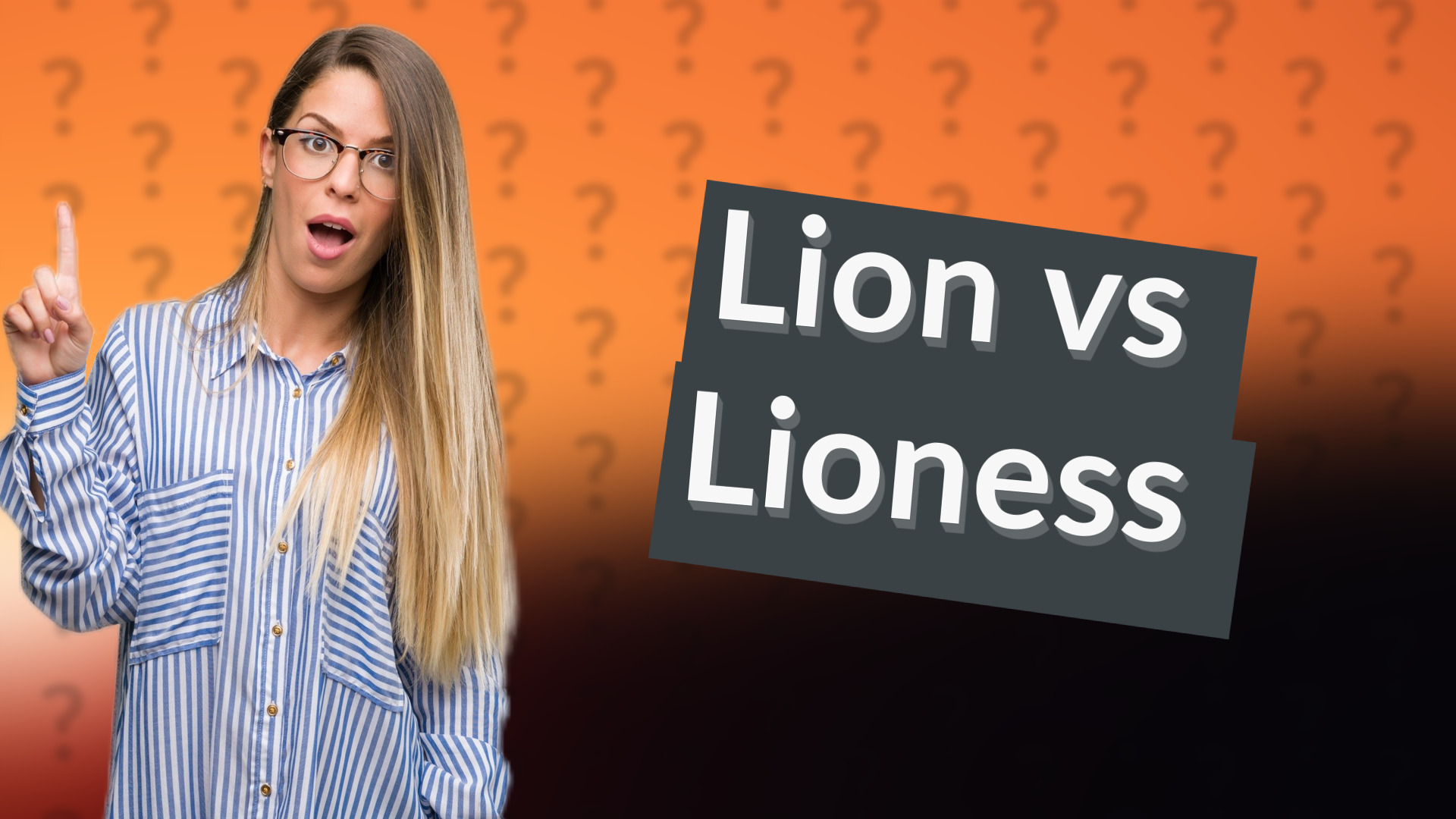 Lion vs Lioness