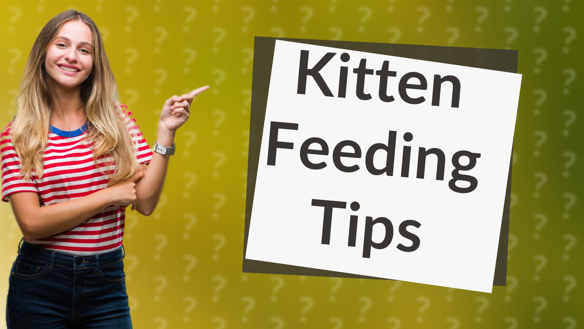 Kitten Feeding Tips