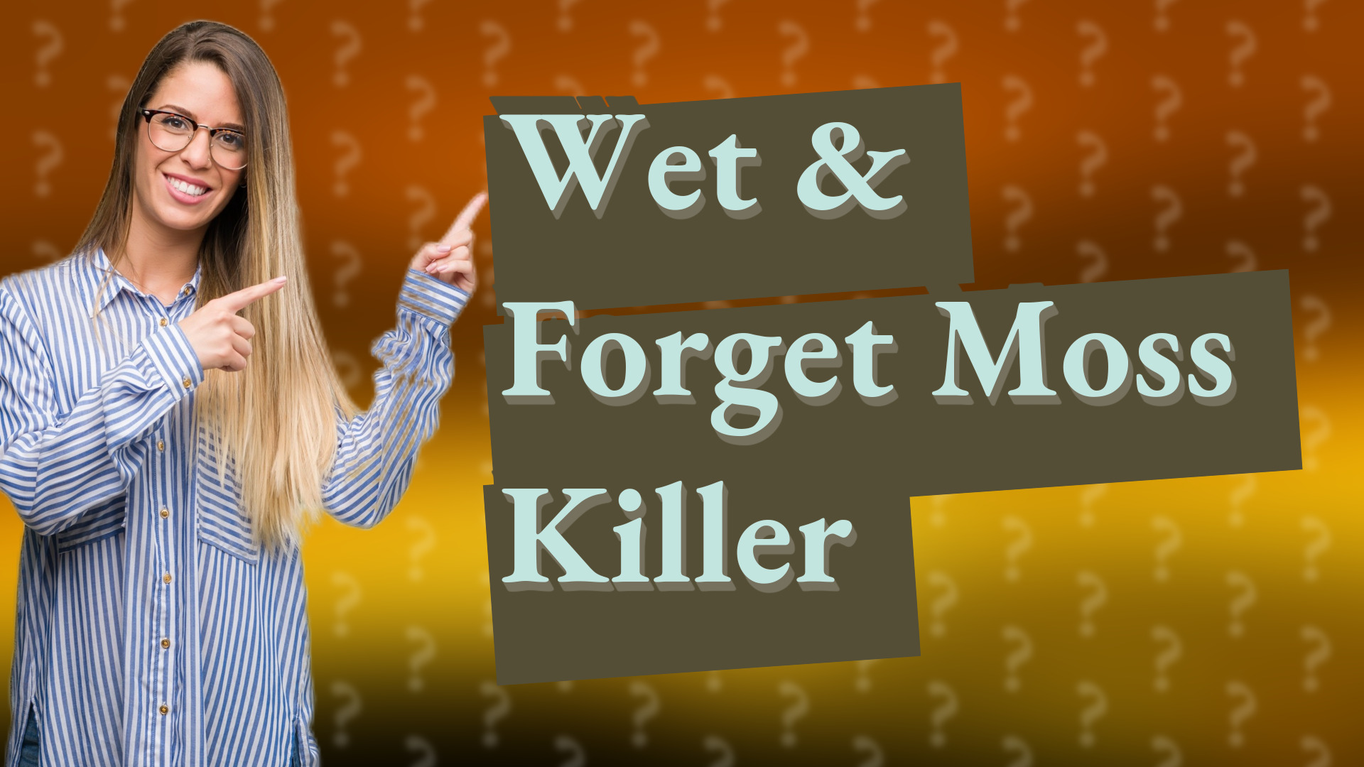 Wet & Forget Moss Killer