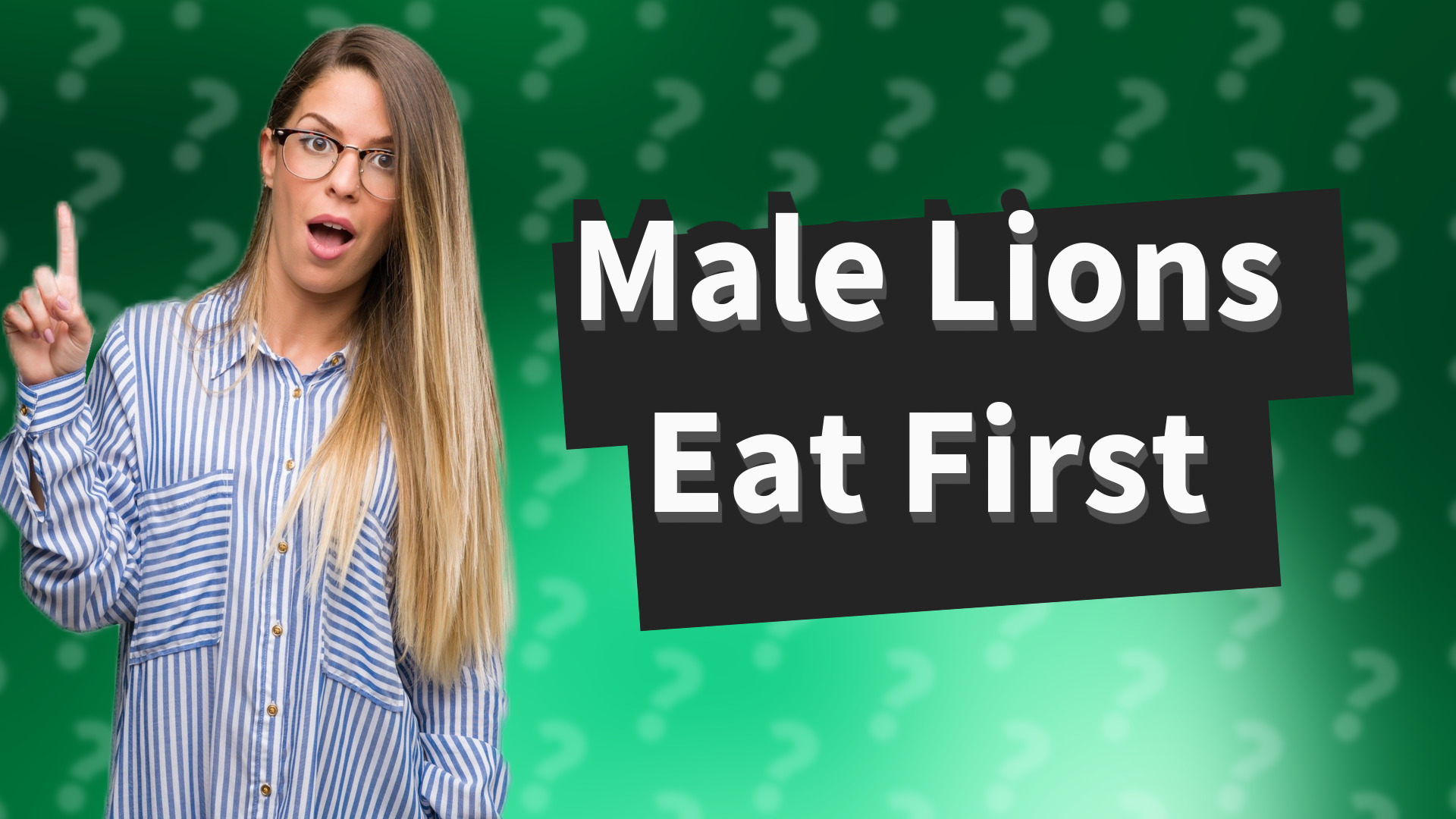 Male Lions Eat First