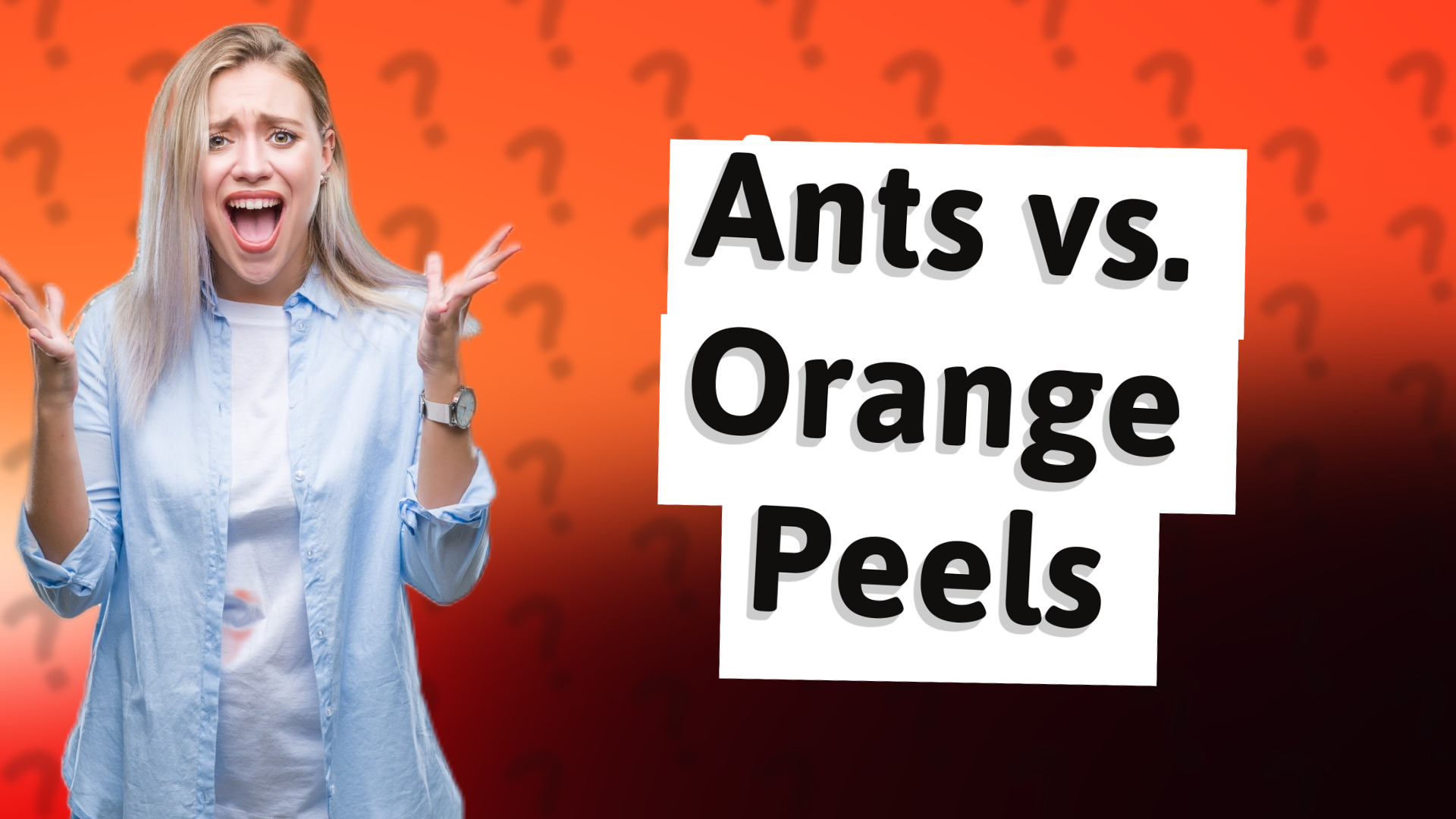 Ants vs. Orange Peels