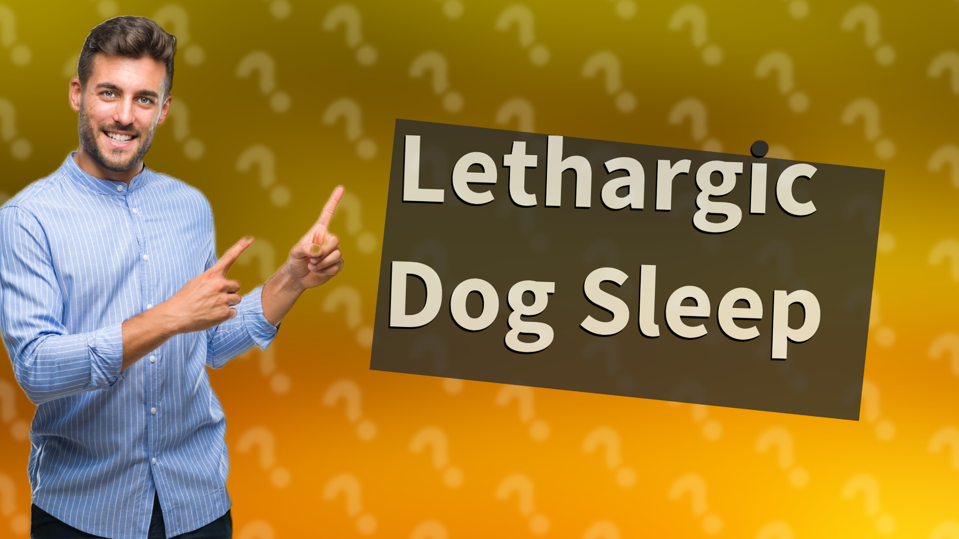 Lethargic Dog Sleep