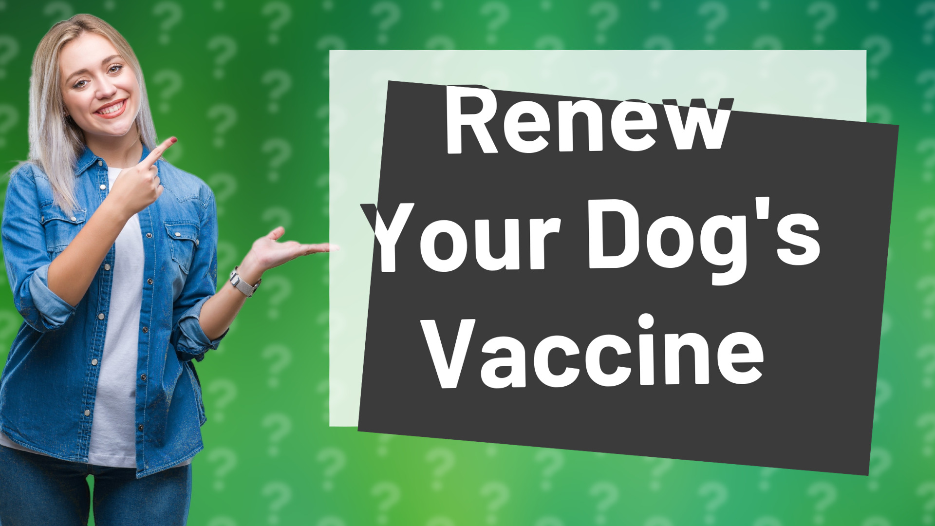 Renew Your Dog's Vaccine