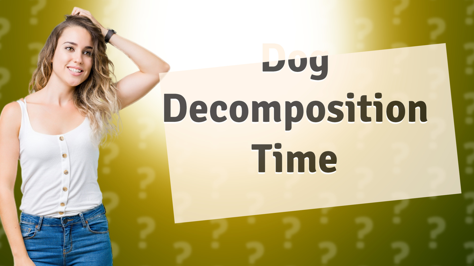 Dog Decomposition Time