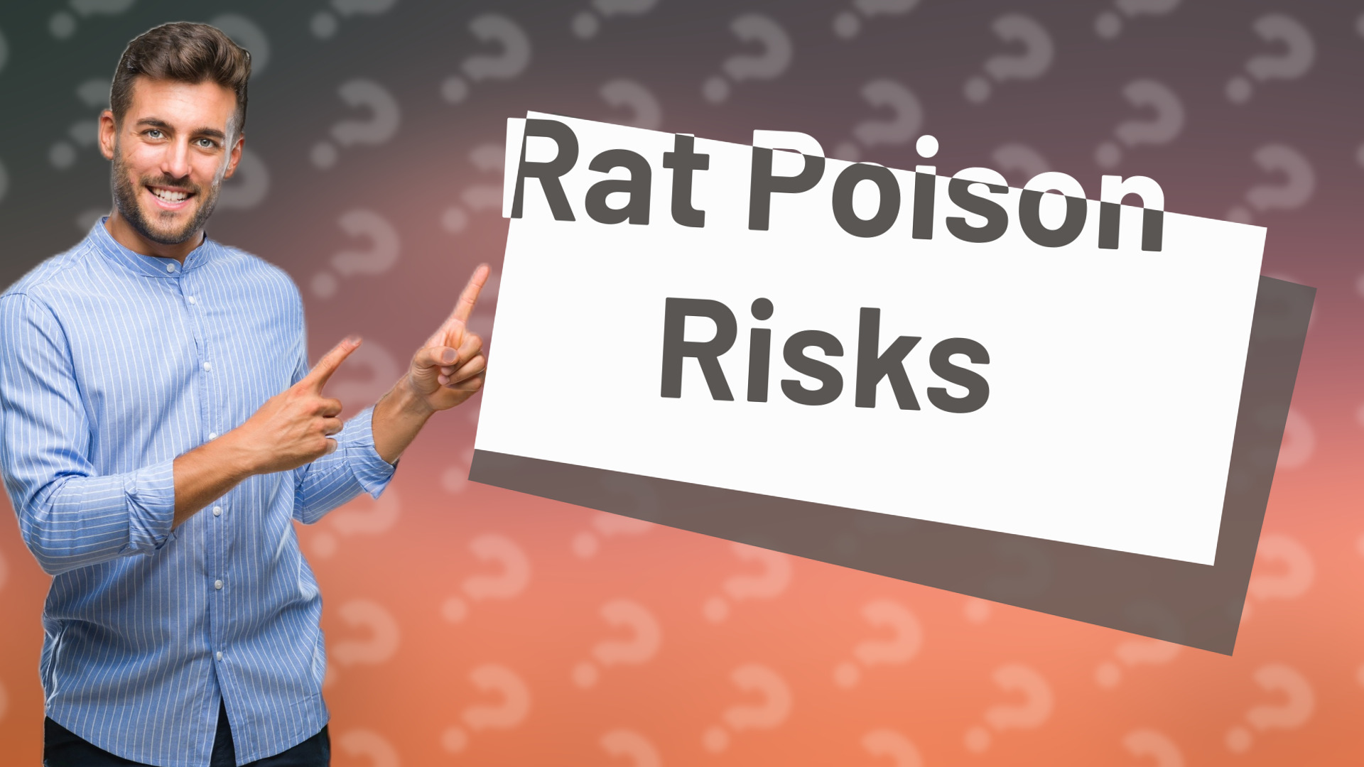 Rat Poison Risks