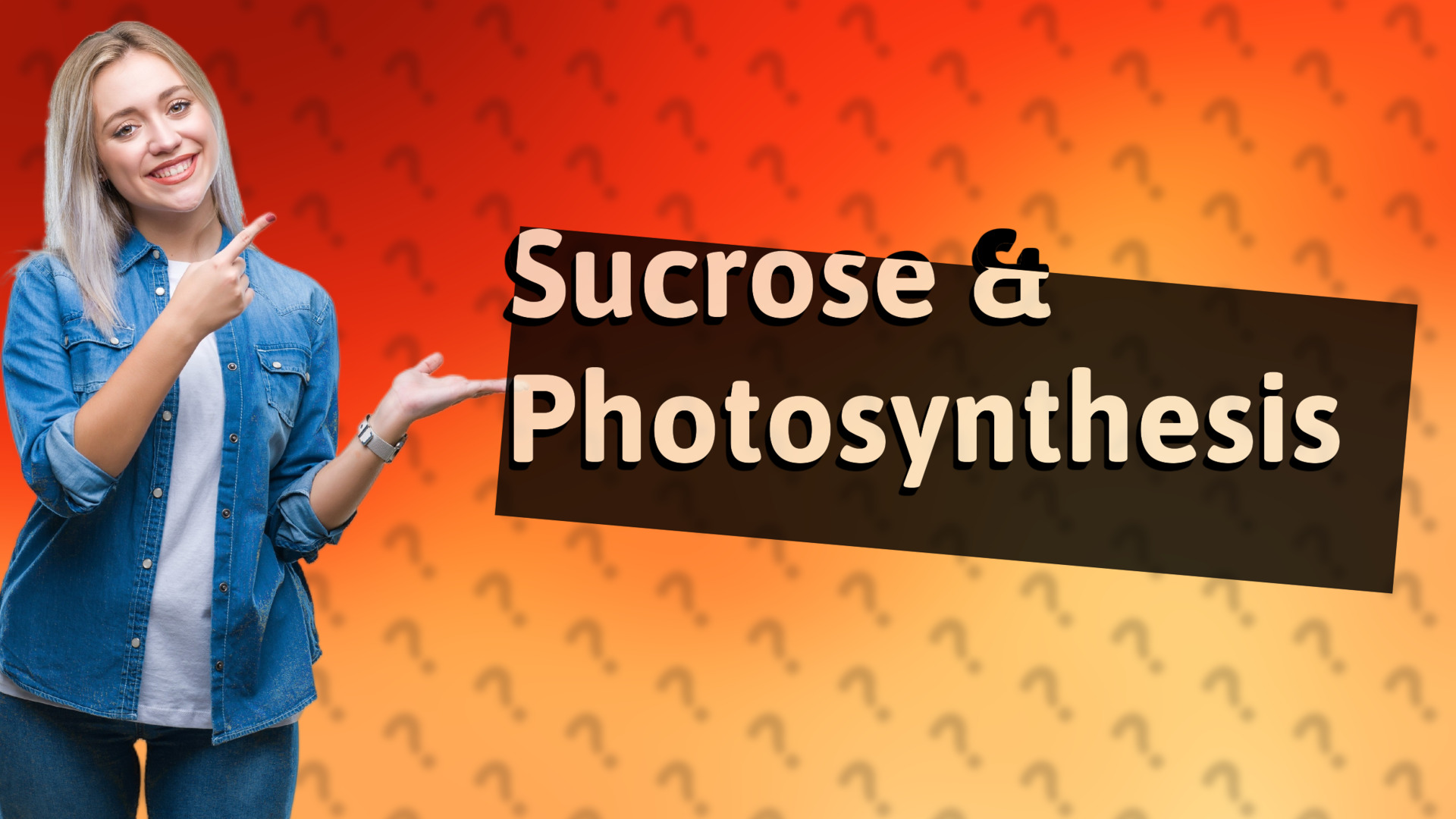 Sucrose & Photosynthesis