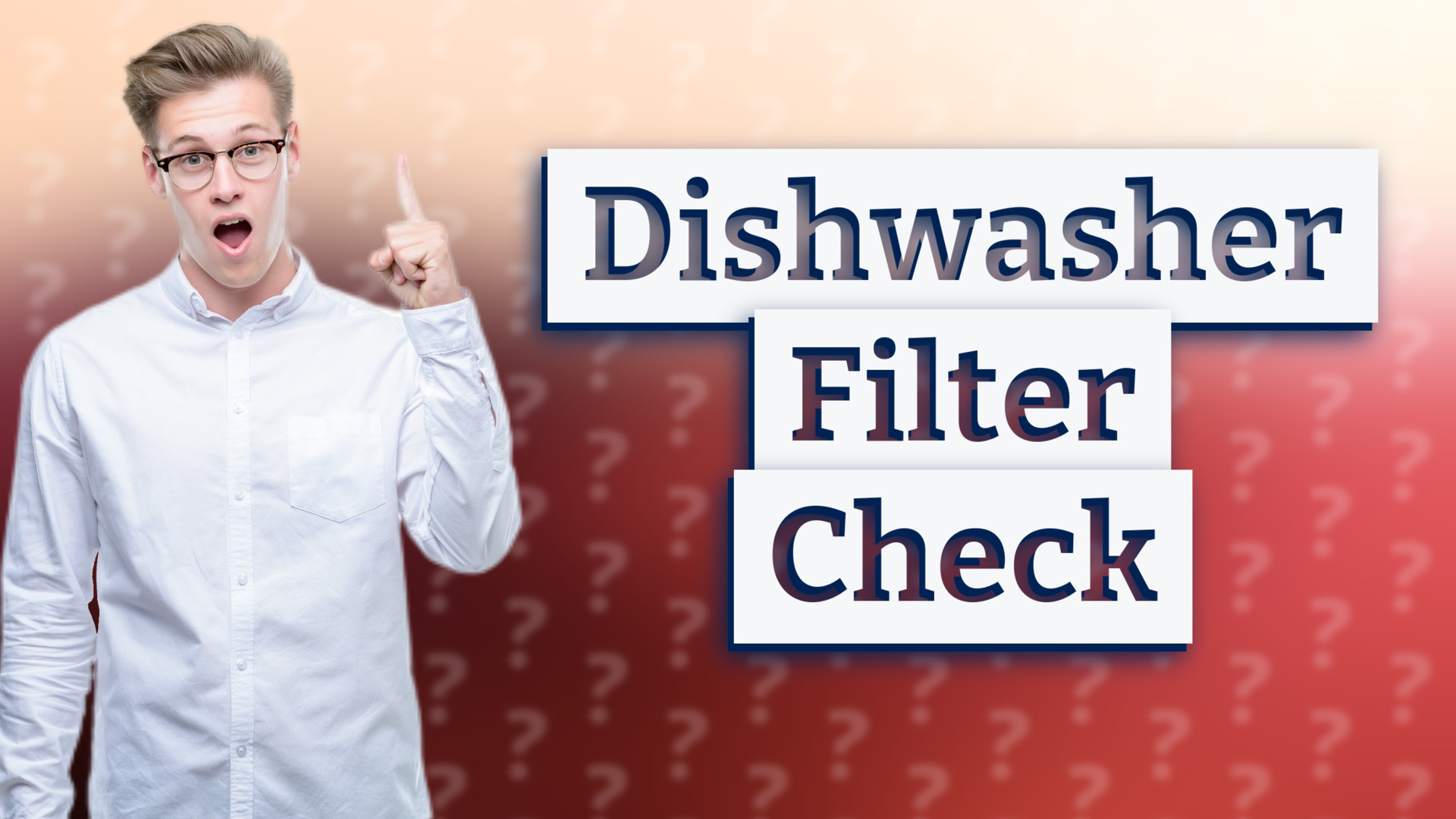 Dishwasher Filter Check