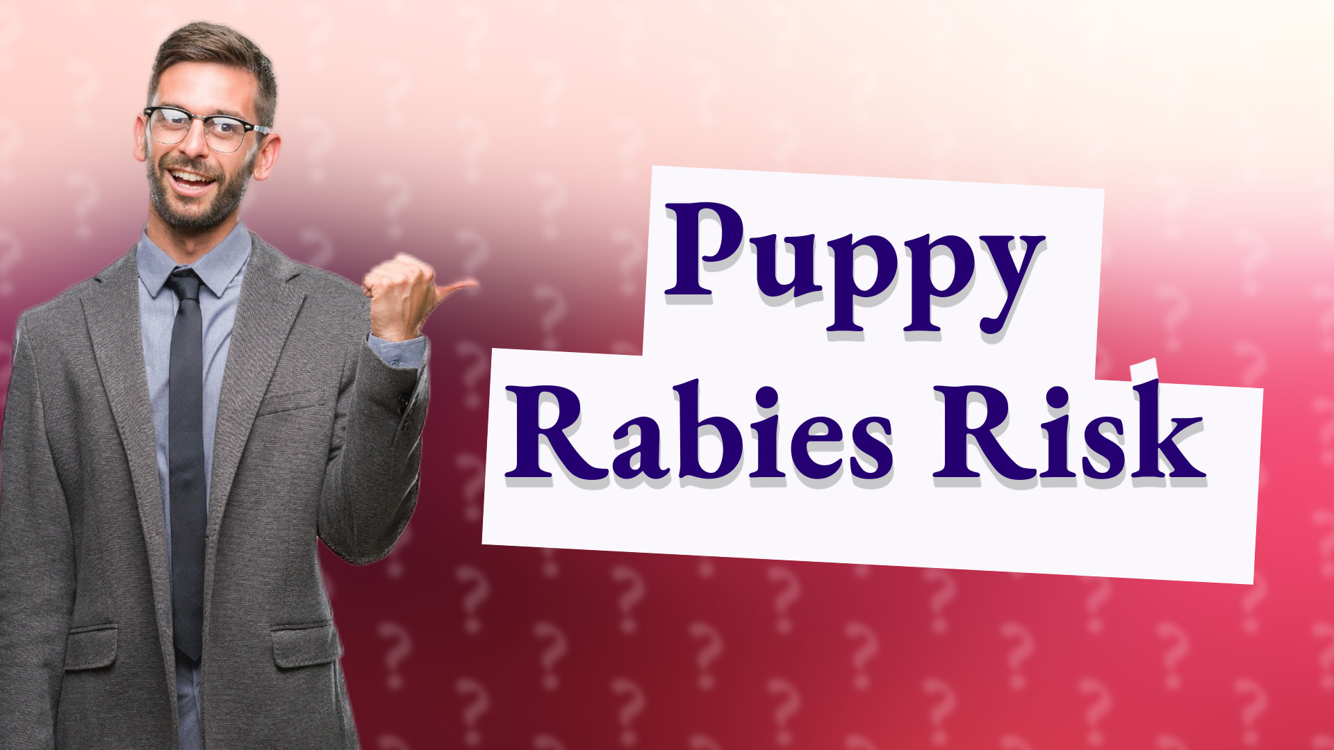 Puppy Rabies Risk