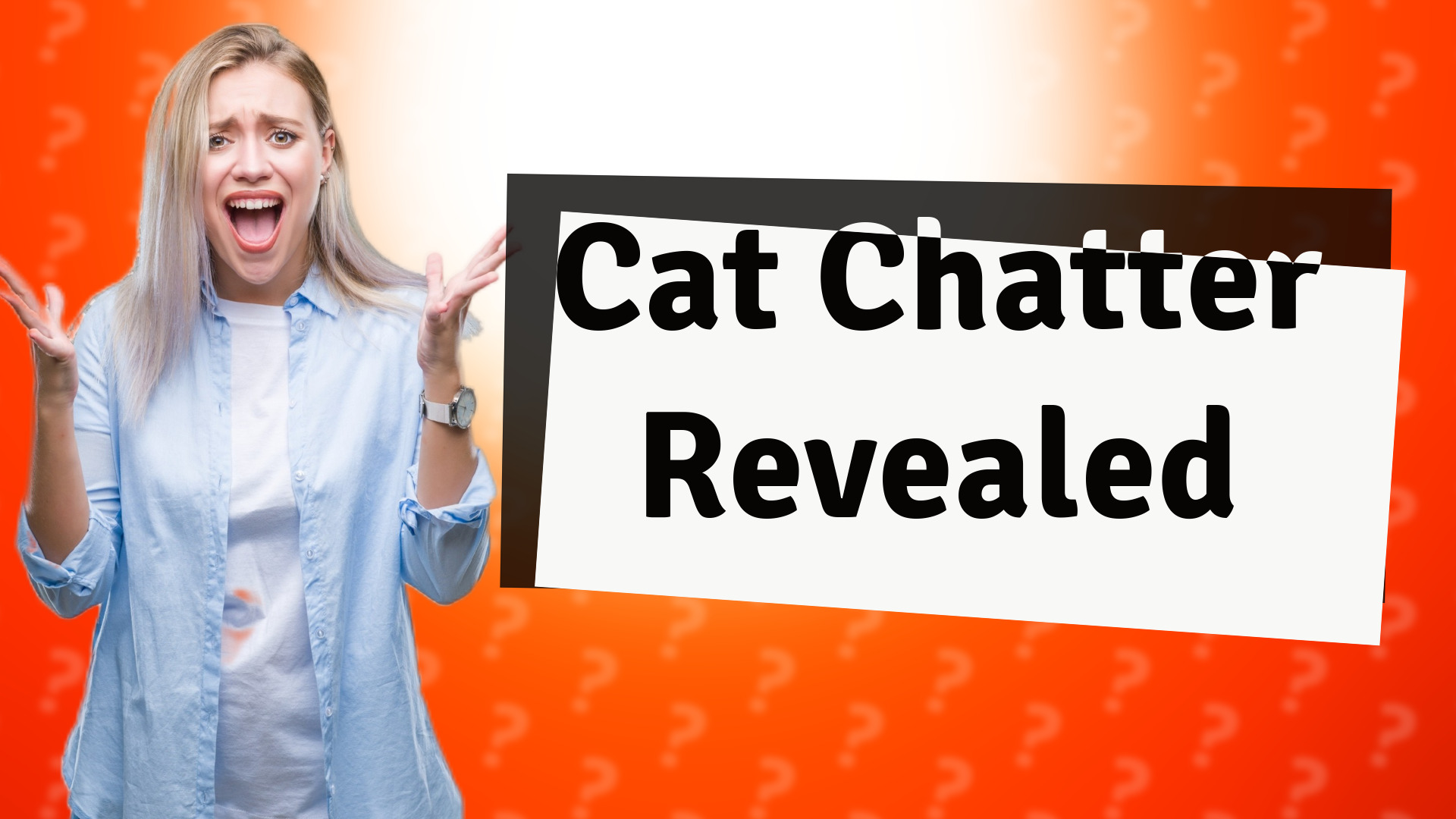 Cat Chatter Revealed
