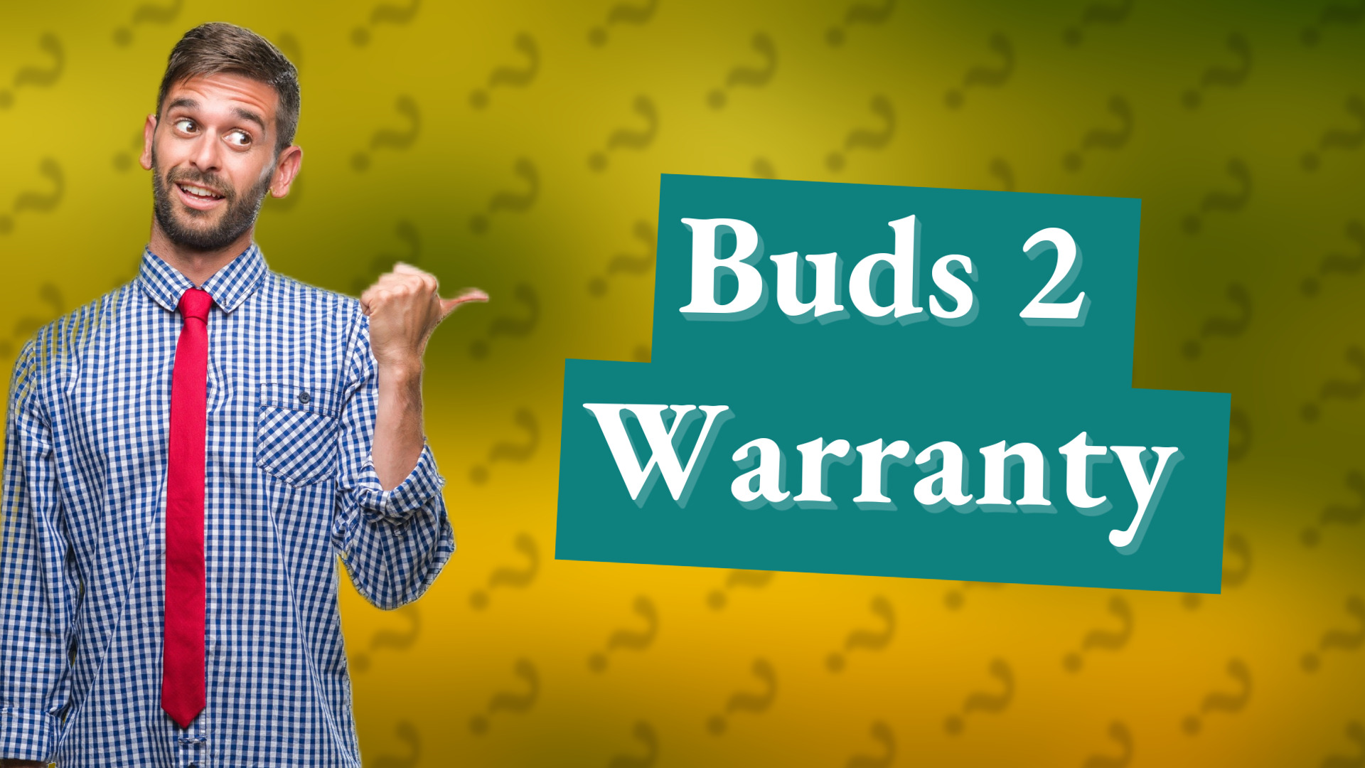 Buds 2 Warranty