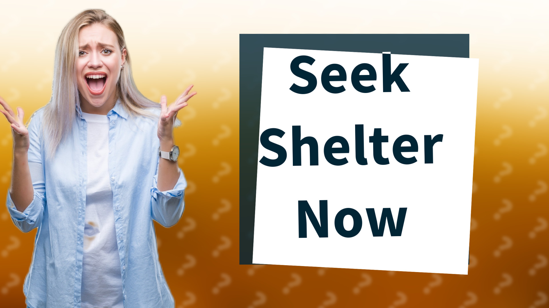 Seek Shelter Now