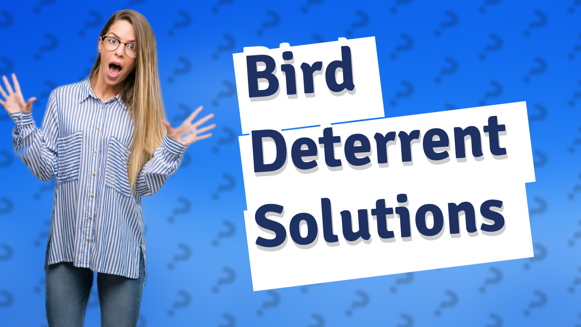 Bird Deterrent Solutions