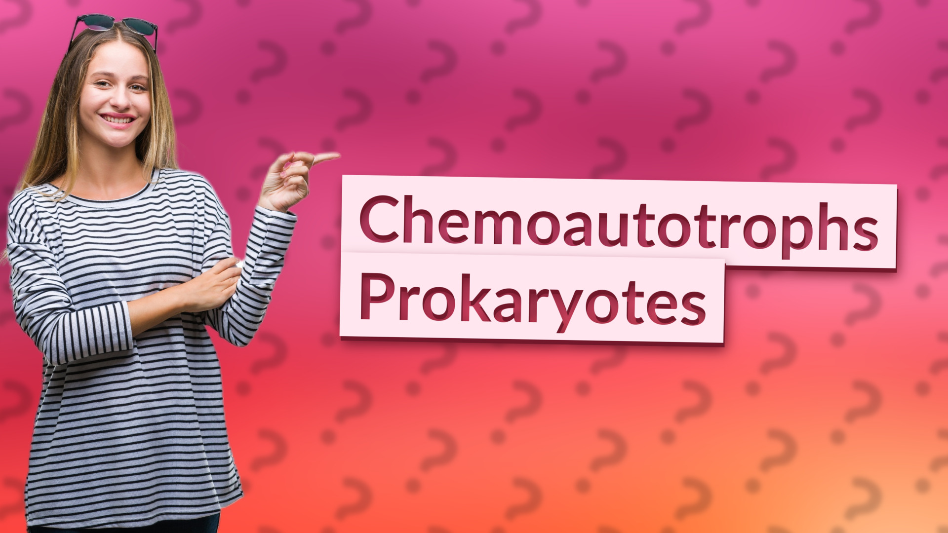 Chemoautotrophs Prokaryotes
